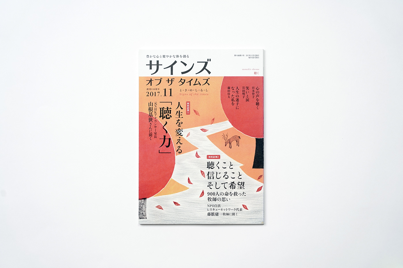 cover design coverconcept editorial design  InDesign Layout Design magazine