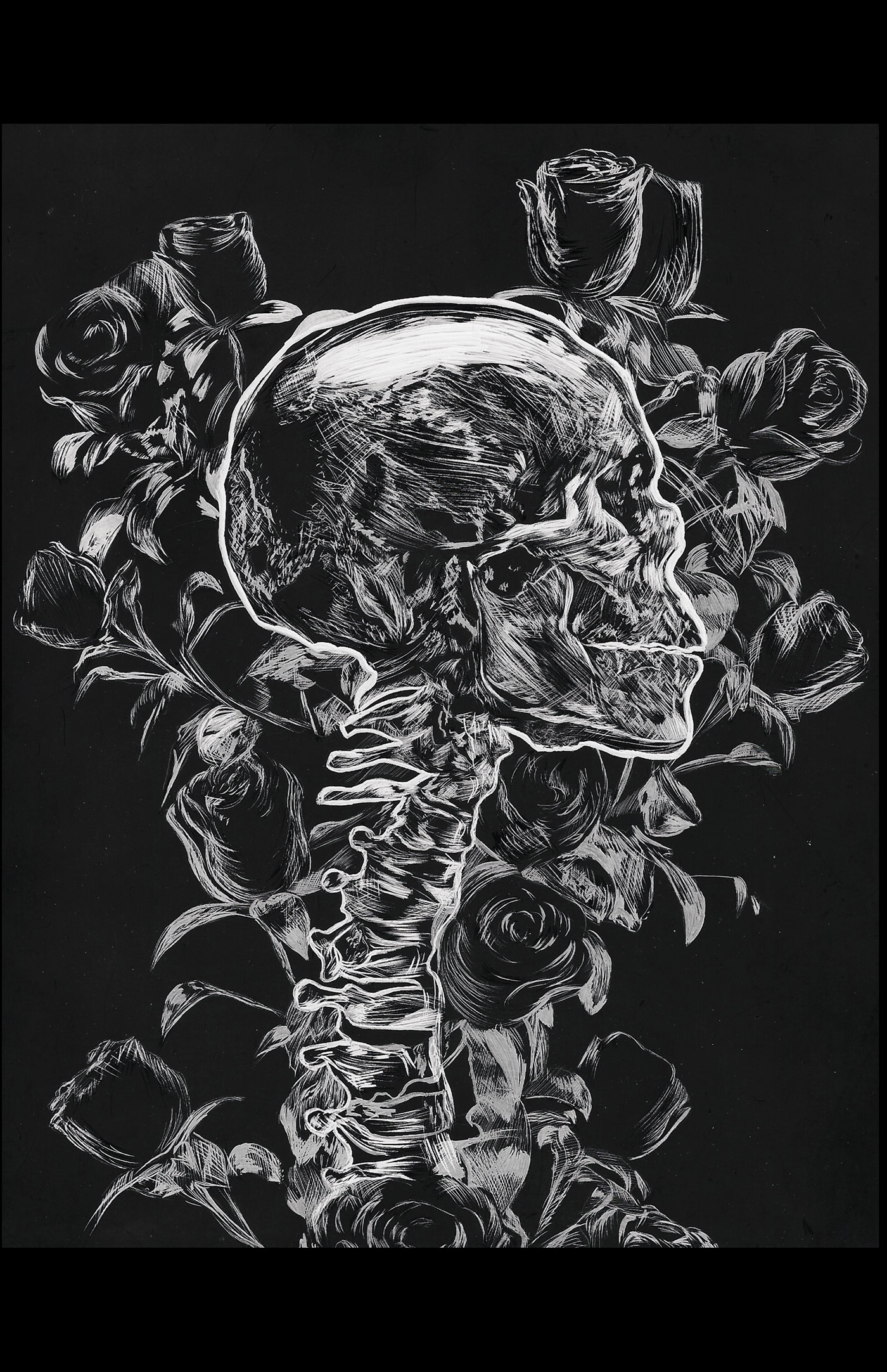 concept art digital portraits Realism scratchboard skulls Traditional Ink