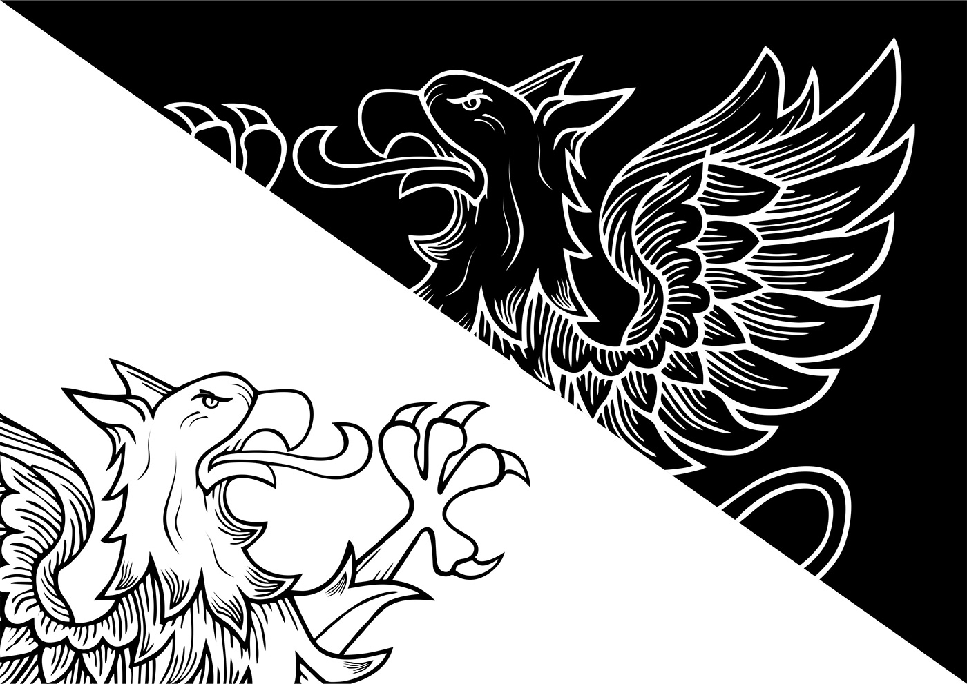 arte concept art Desenho Digital Digital Art  digital illustration dragão Drawing  fantasy Griffin Magic  