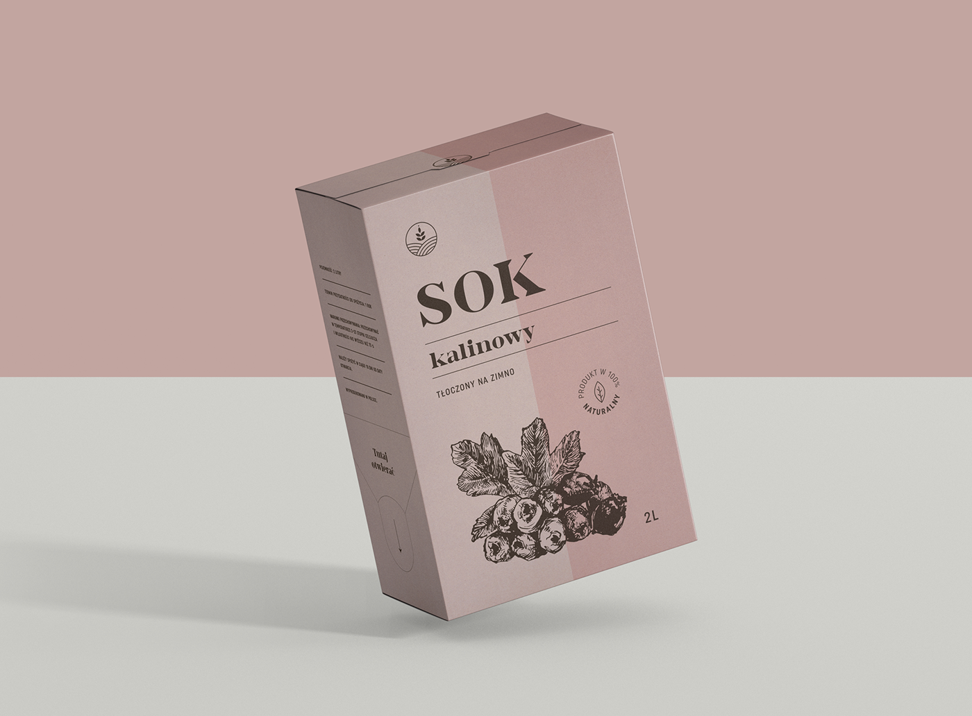 ILLUSTRATION  ecoloogy eco juice Drawing  Packaging package pastel colour
