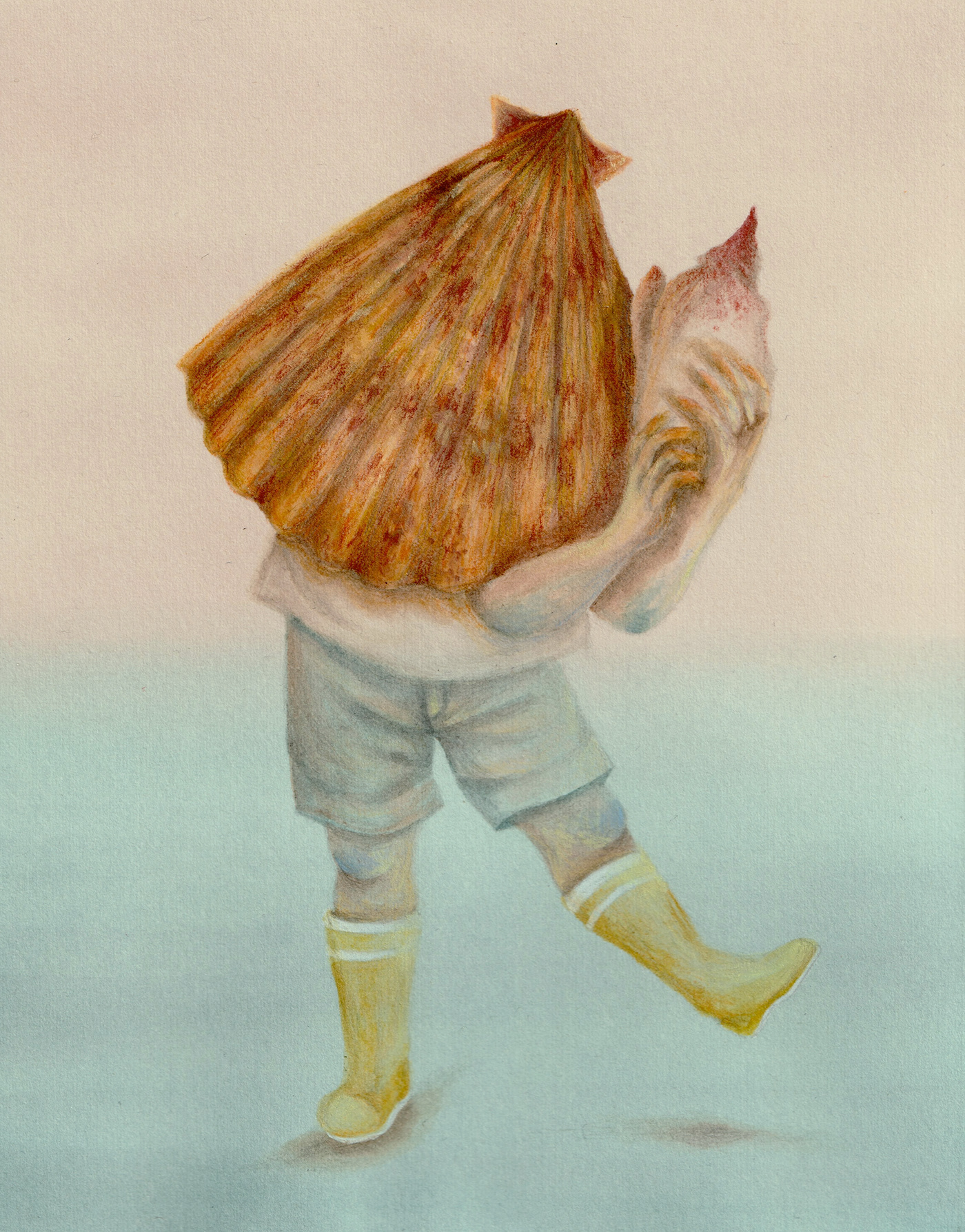 artist artwork Drawing  ILLUSTRATION  Landscape mare Nature portrait sea shell