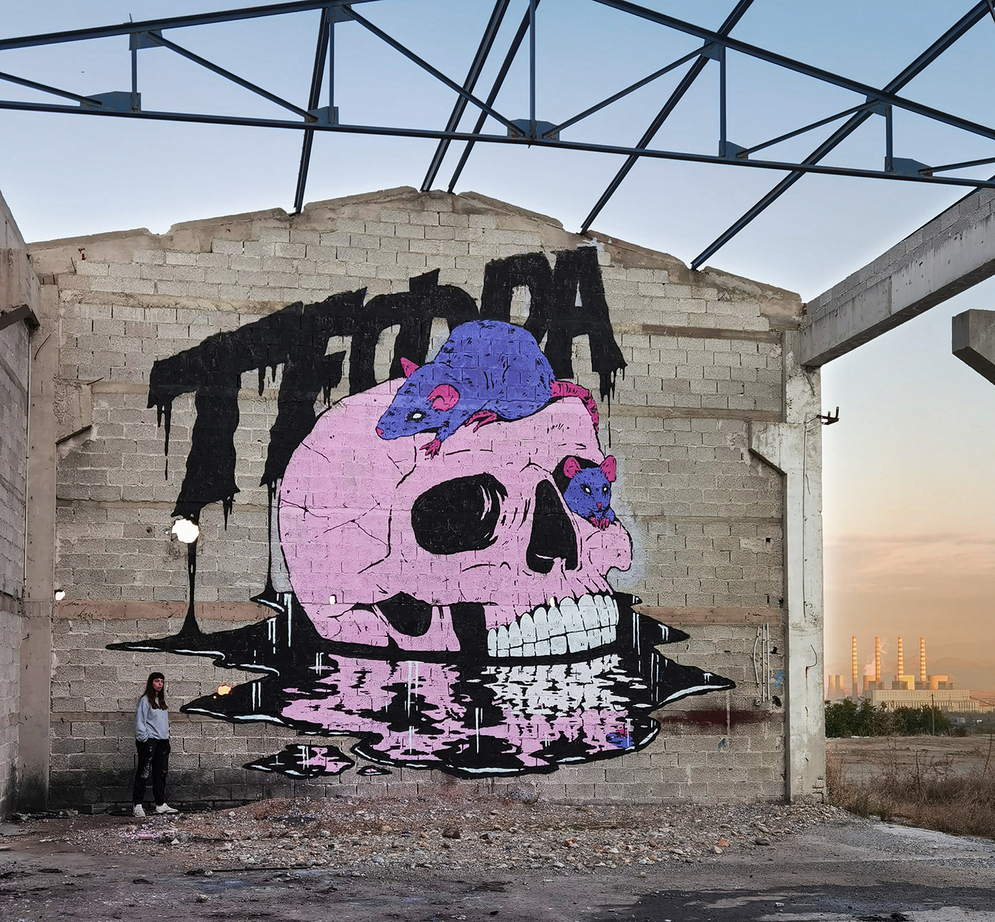 Graffiti artwork Mural wall art Drawing  artist skull rat