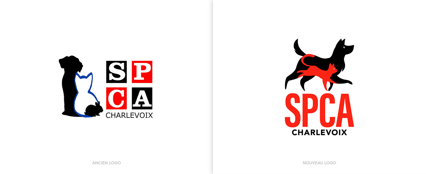 animals Brand Design brand identity branding  Logo Design logos Rebrand rebranding Refonte visual identity