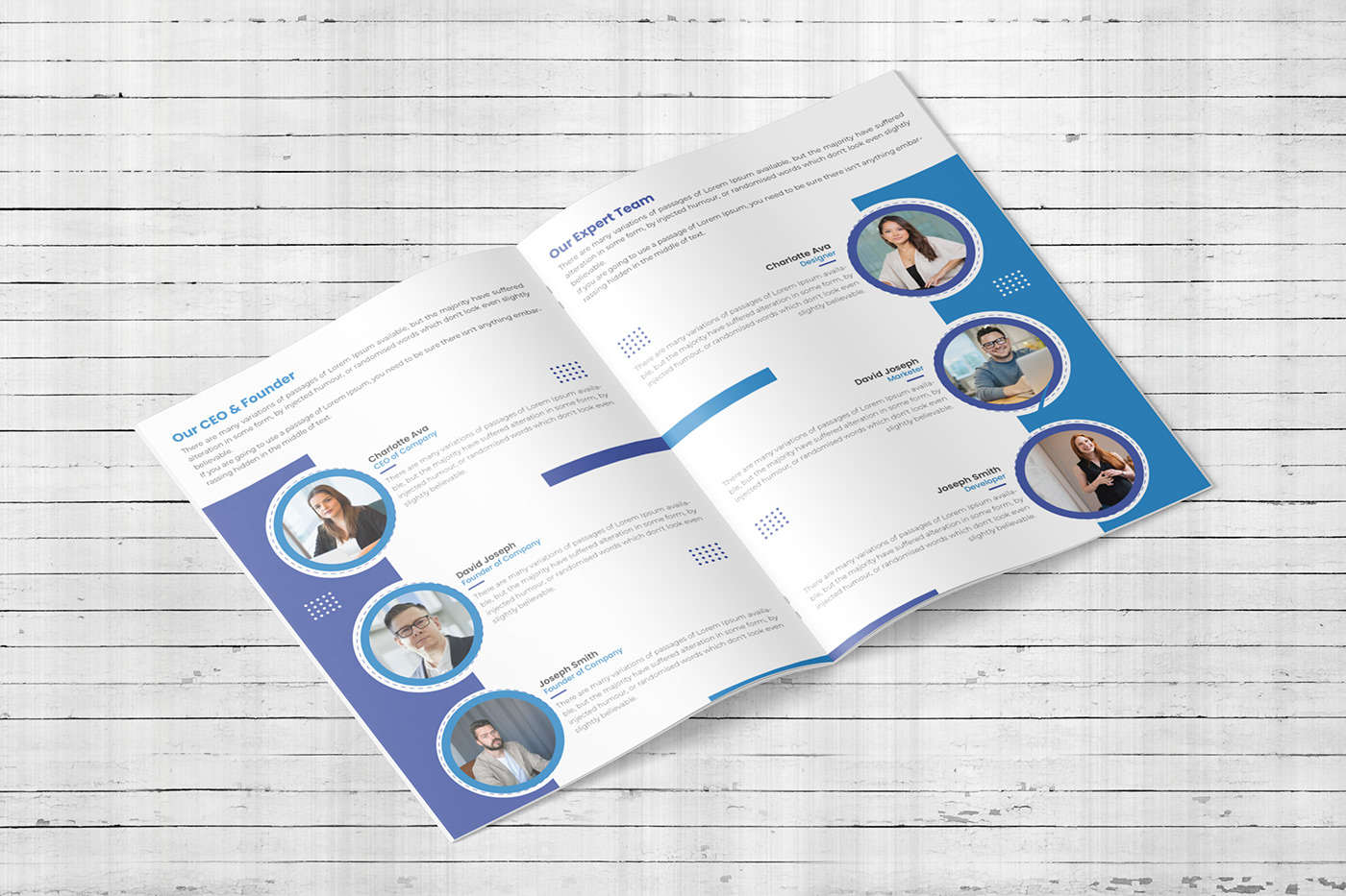Company Profile Brochure Template Design
