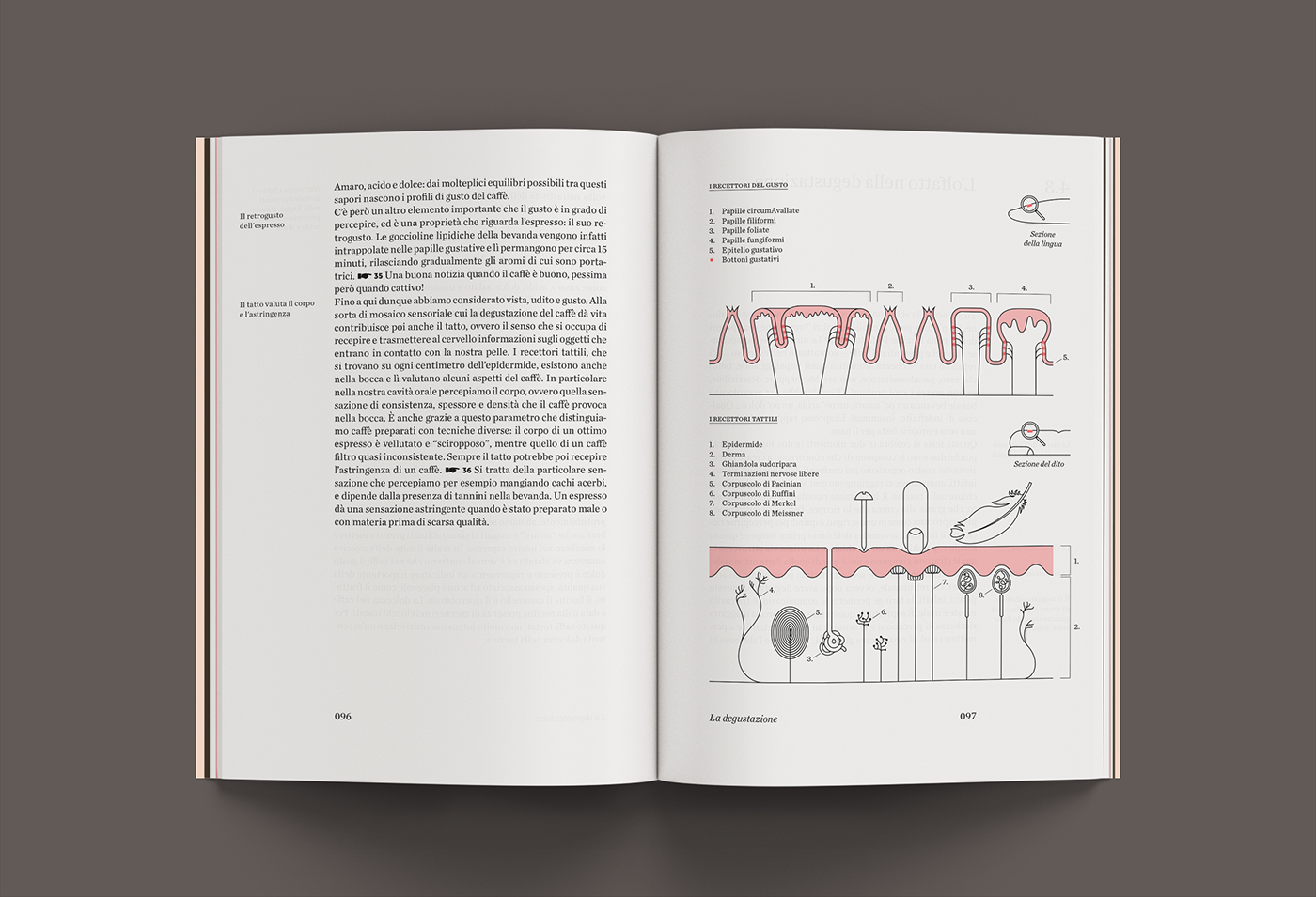 Aroma book Coffee editorial ILLUSTRATION  Illustrator InDesign infographics kit scientific