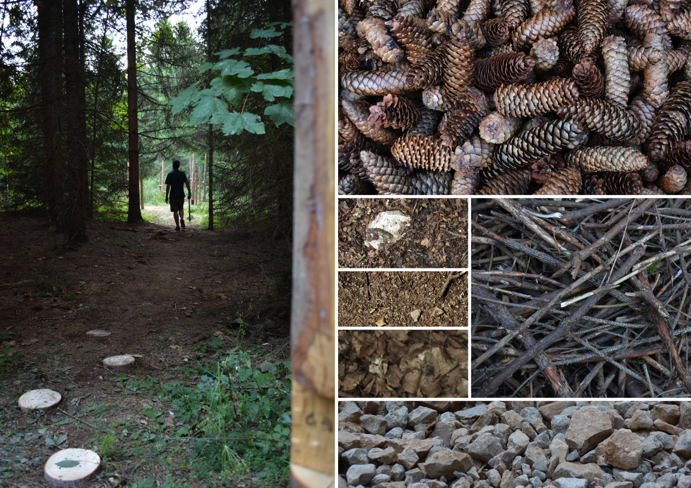 Experiential design installation forest