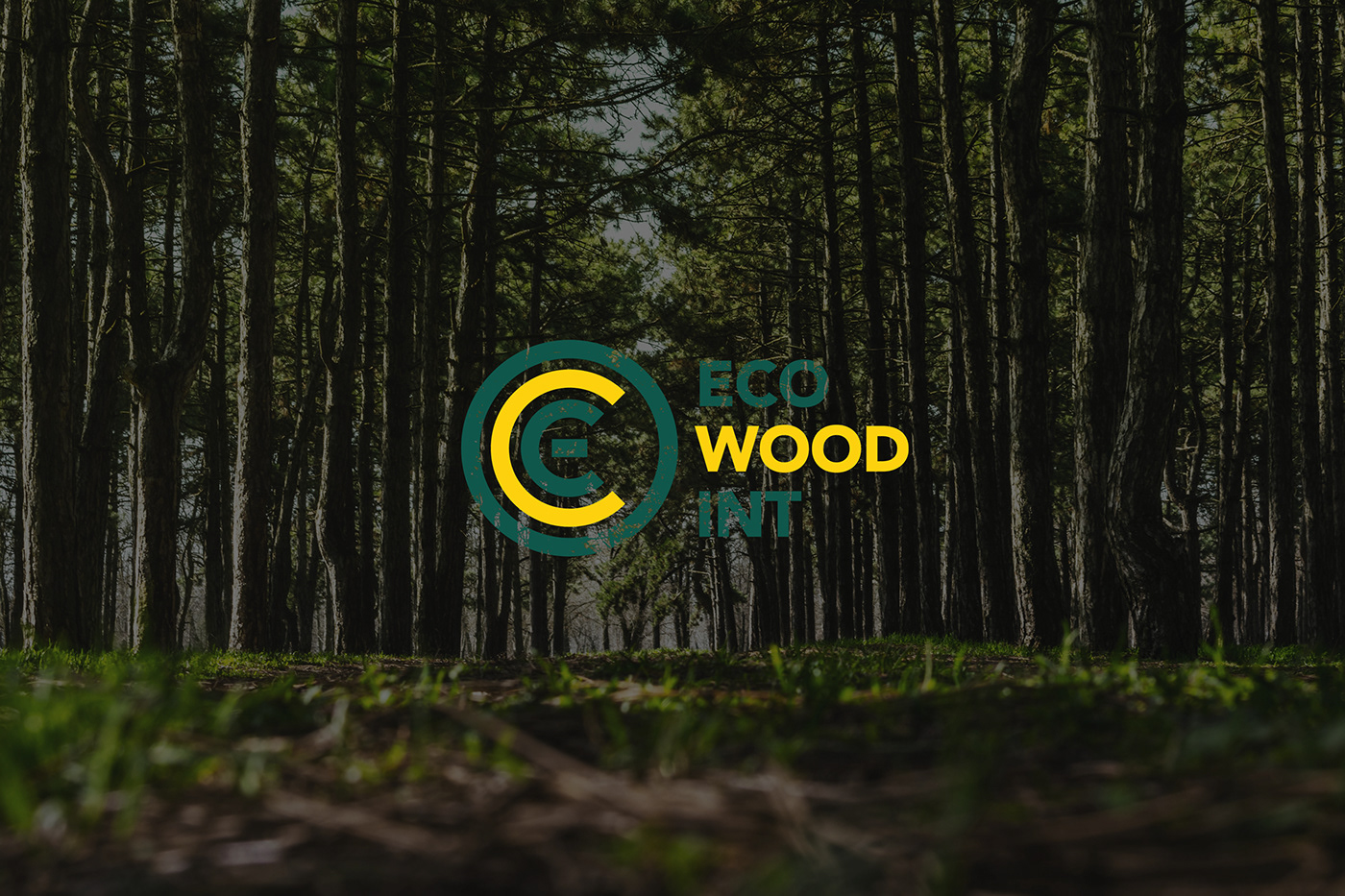 eco wood ecological International logo design Icon natural Holland