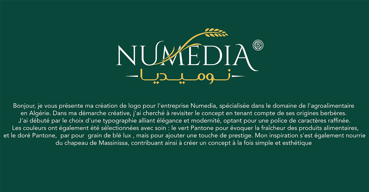 brand identity identidade visual logo Graphic Designer DZ Algeria identity Social media post marketing   Brand Design