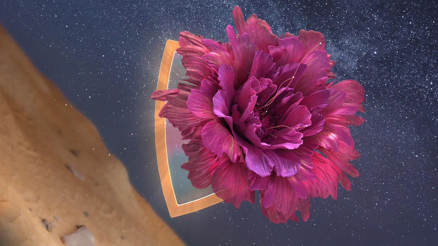 animation  Creativity flower ID idea Mysticism sand Transformation tyFlow 3D