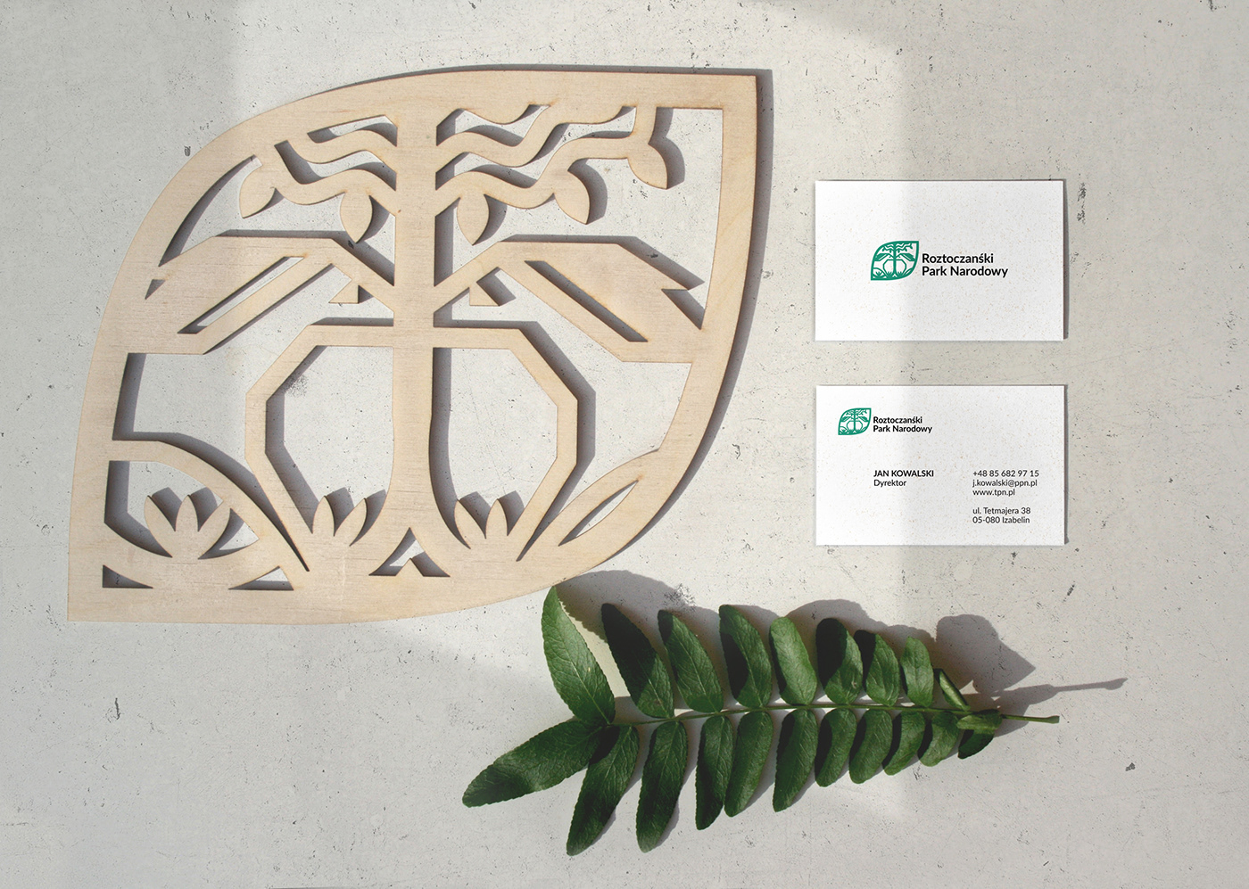 dynamic identity animal logo logo mark minimalistic eco design National Park logofolio eco banding