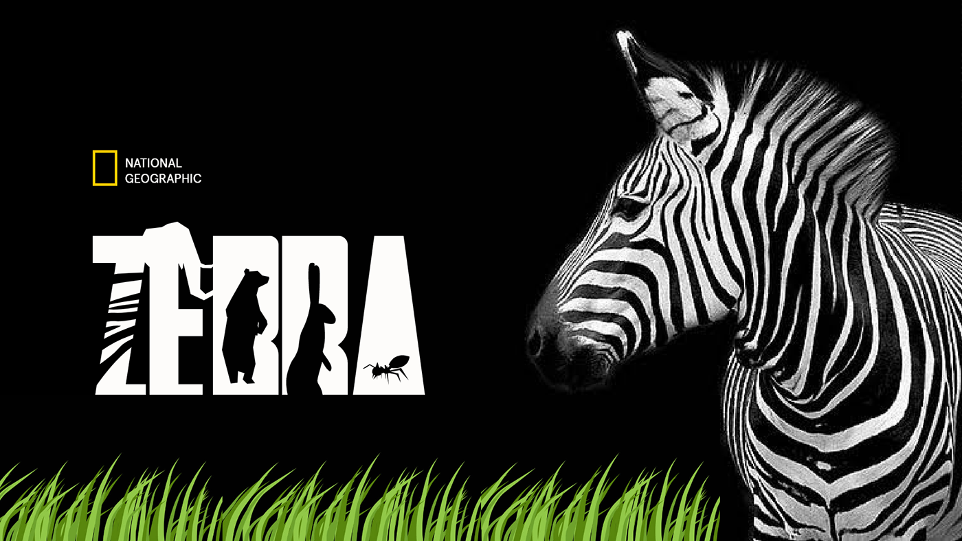 Image may contain: animal, cartoon and zebra