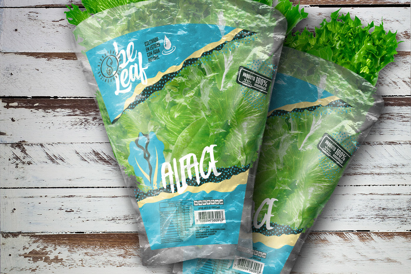 logo green vegetables custom type Brasil Sustainable recycle hydroponic be leaf leaf