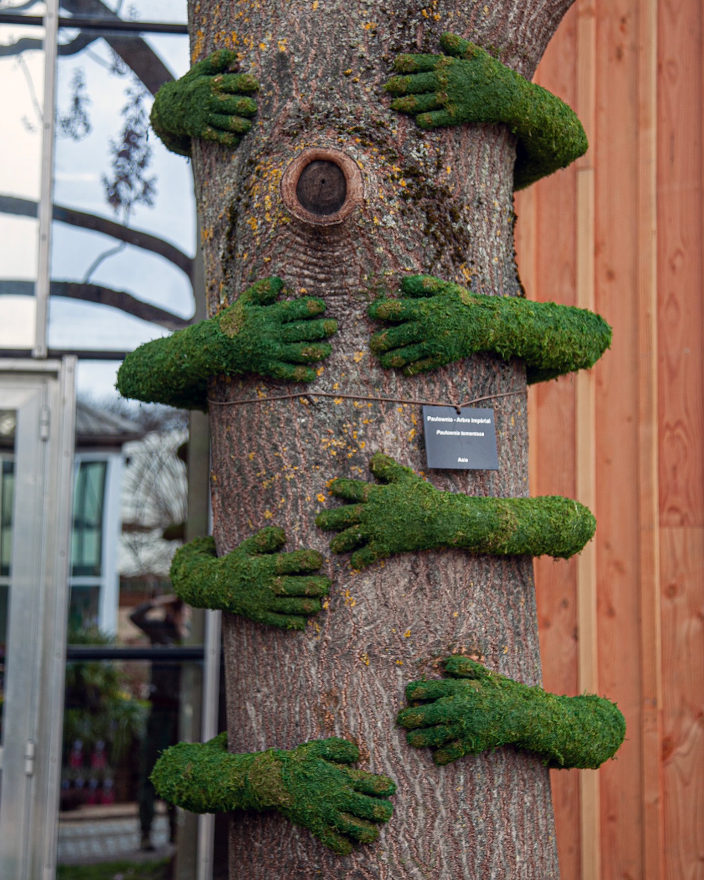 installation landart Nature monsieur plant mr plant Tree Hug
