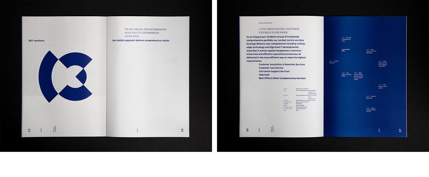 brochure design company profile typography   editorial design  print design  book Layout
