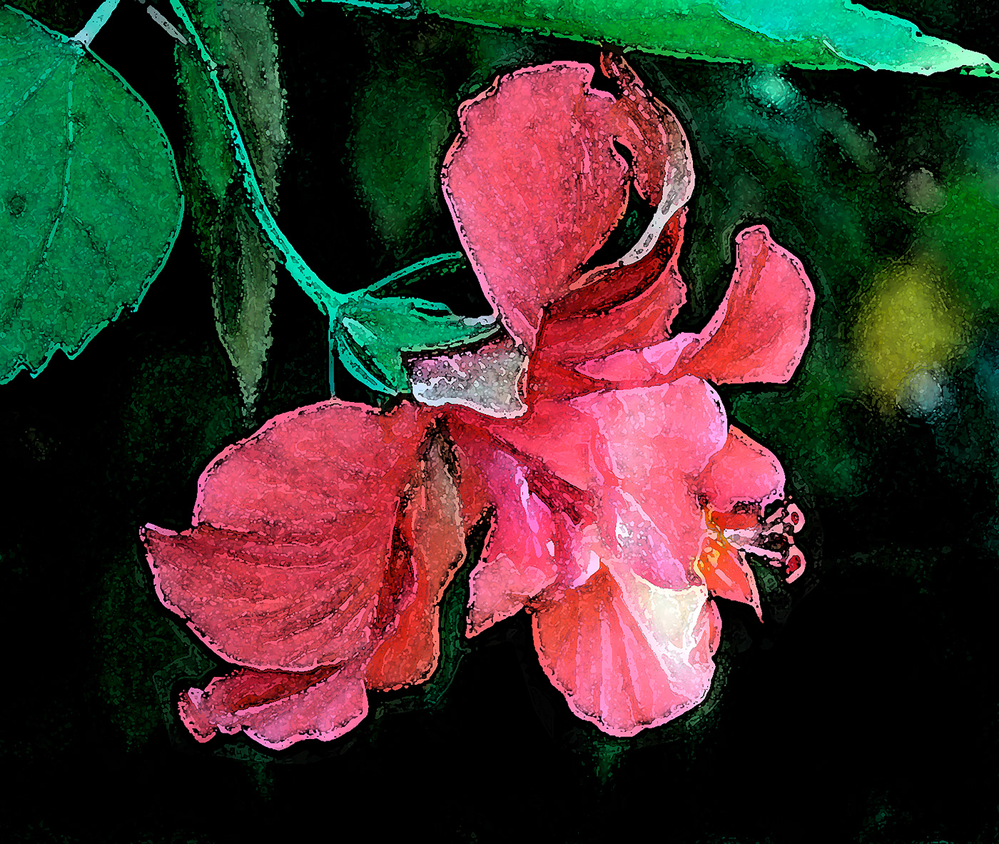 adobe artwork closeup Digital Art  filters Flowers macro Nature Photography  photoshop