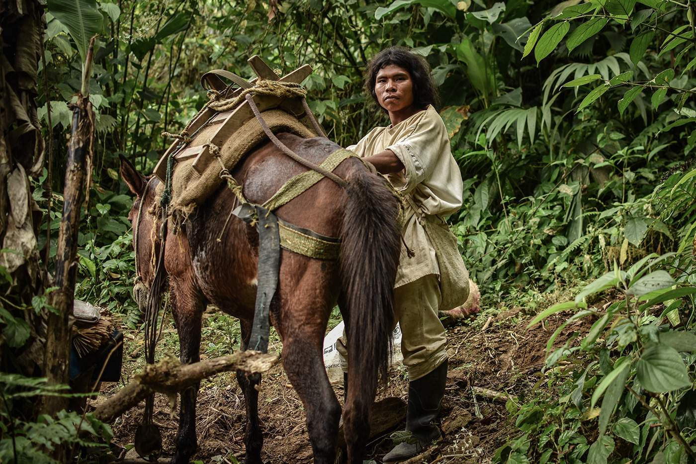 colombia ciudad perdida Lost City Trek indigenous tayrona cité perdue culture civilisation sacred