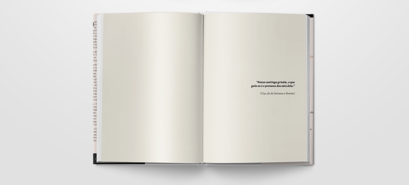 capa de livro diagramação de livro editorial impressão gráfica Livro