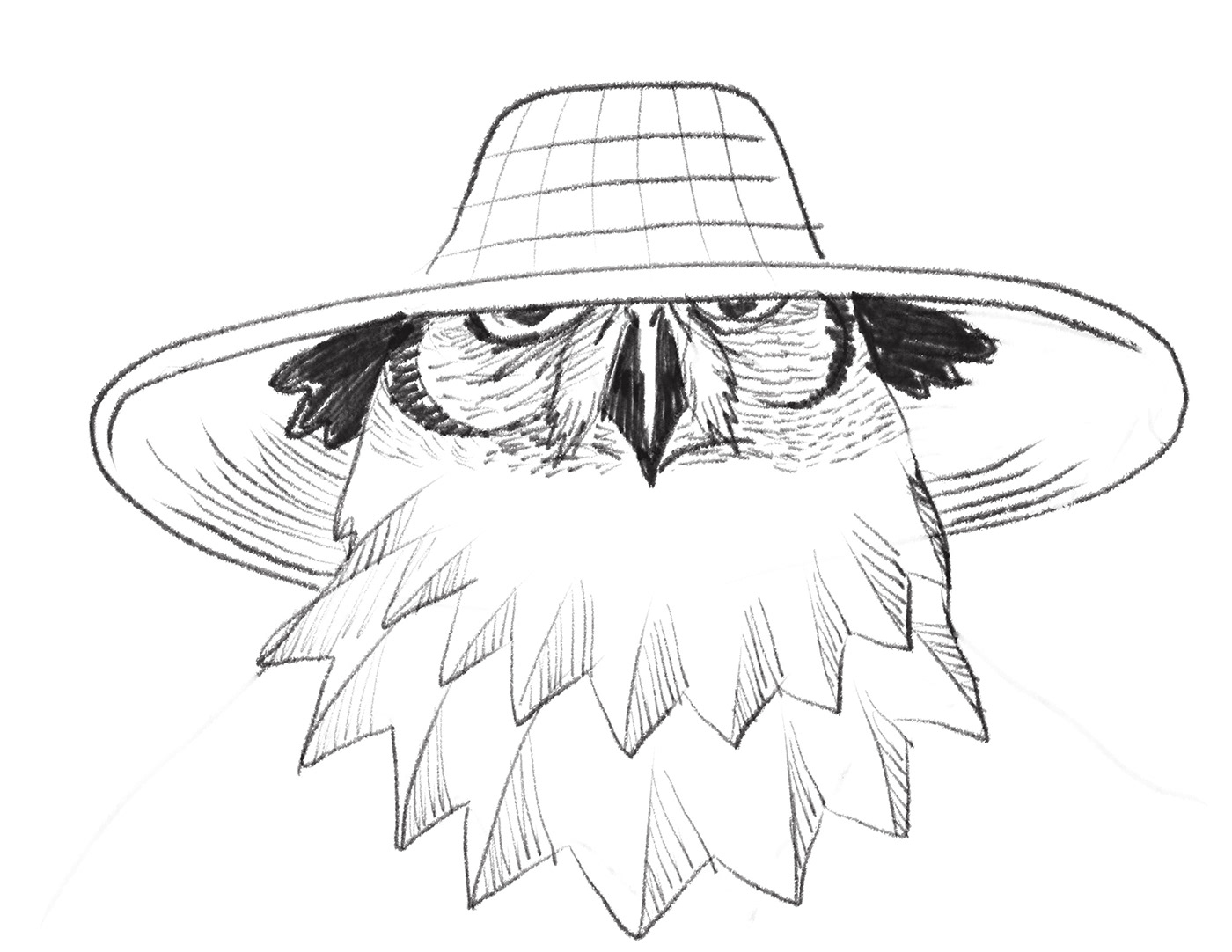 drawings hat owl