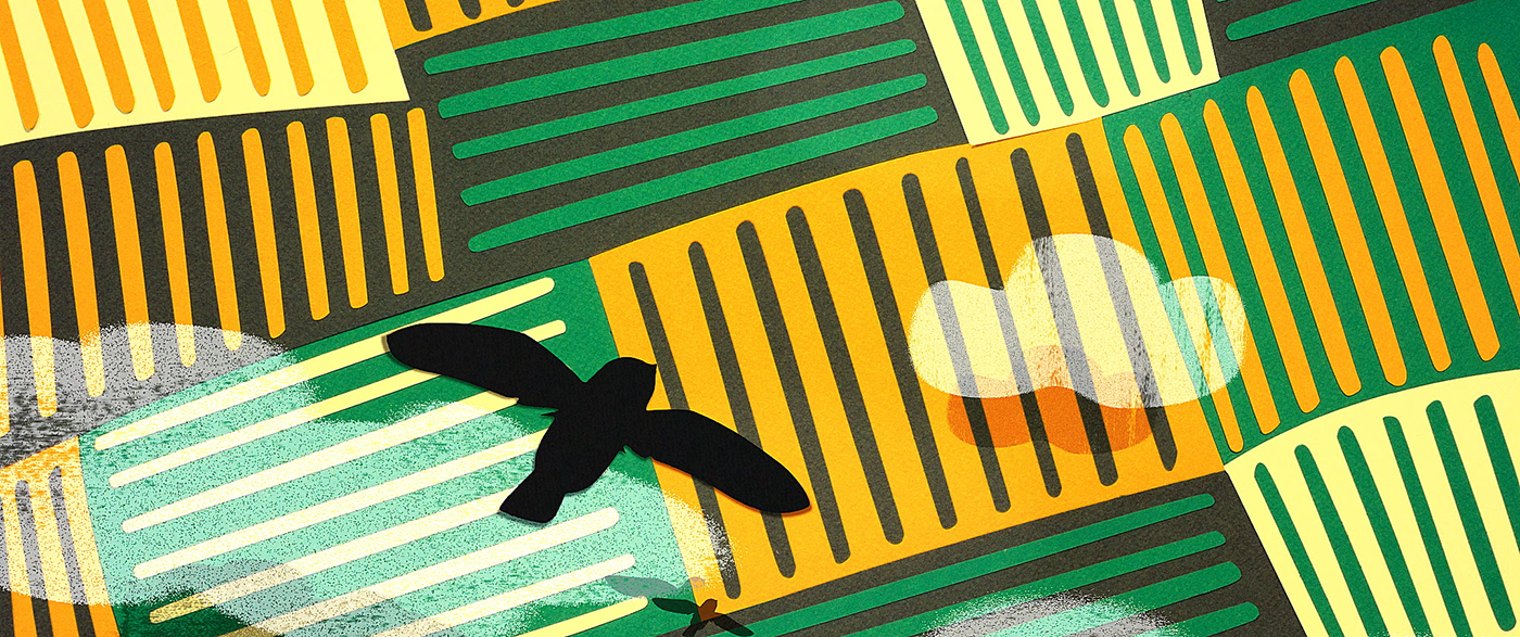 animation  paper bird forest stop motion yaguarete cut out kakuy FOX field