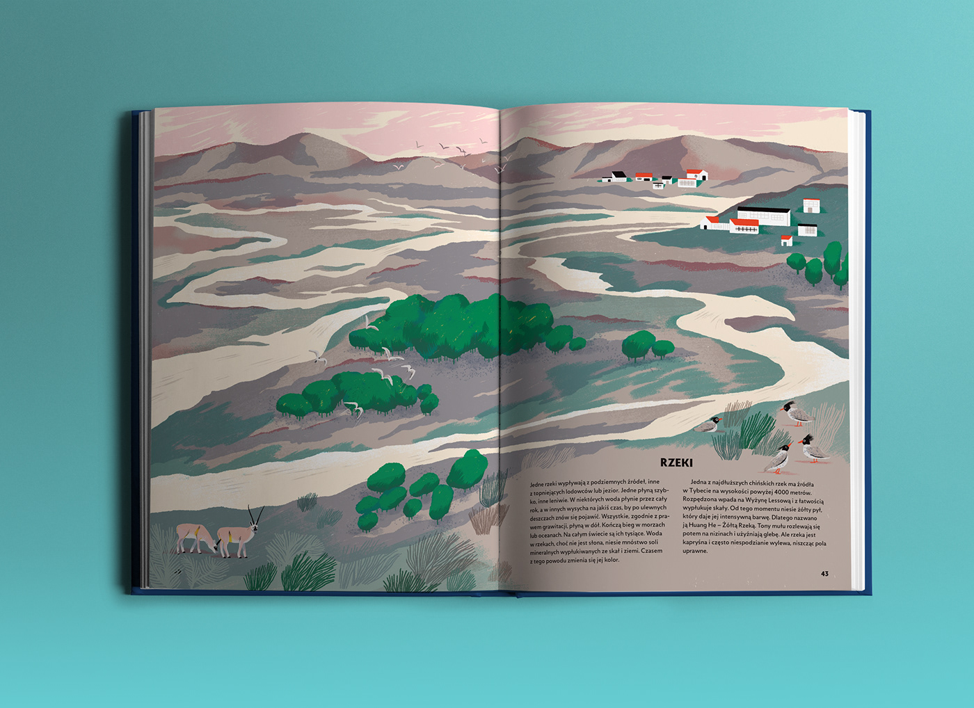 book book design book for kids children Ecology Education graphic design  Illustrated book ILLUSTRATION  water