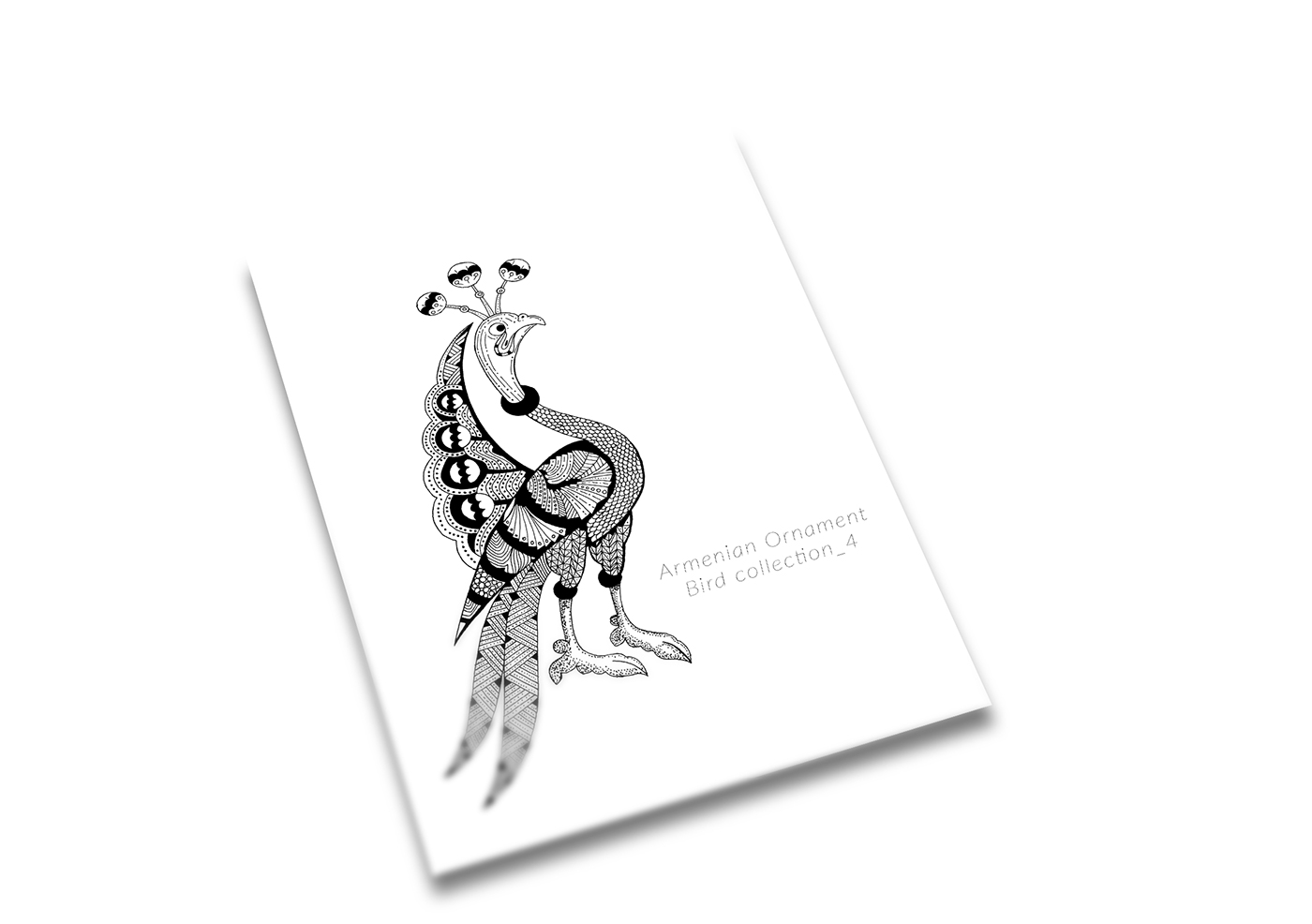 bird zentangle draw paper pen ink animal ornament Style top new download free black&withe pencil