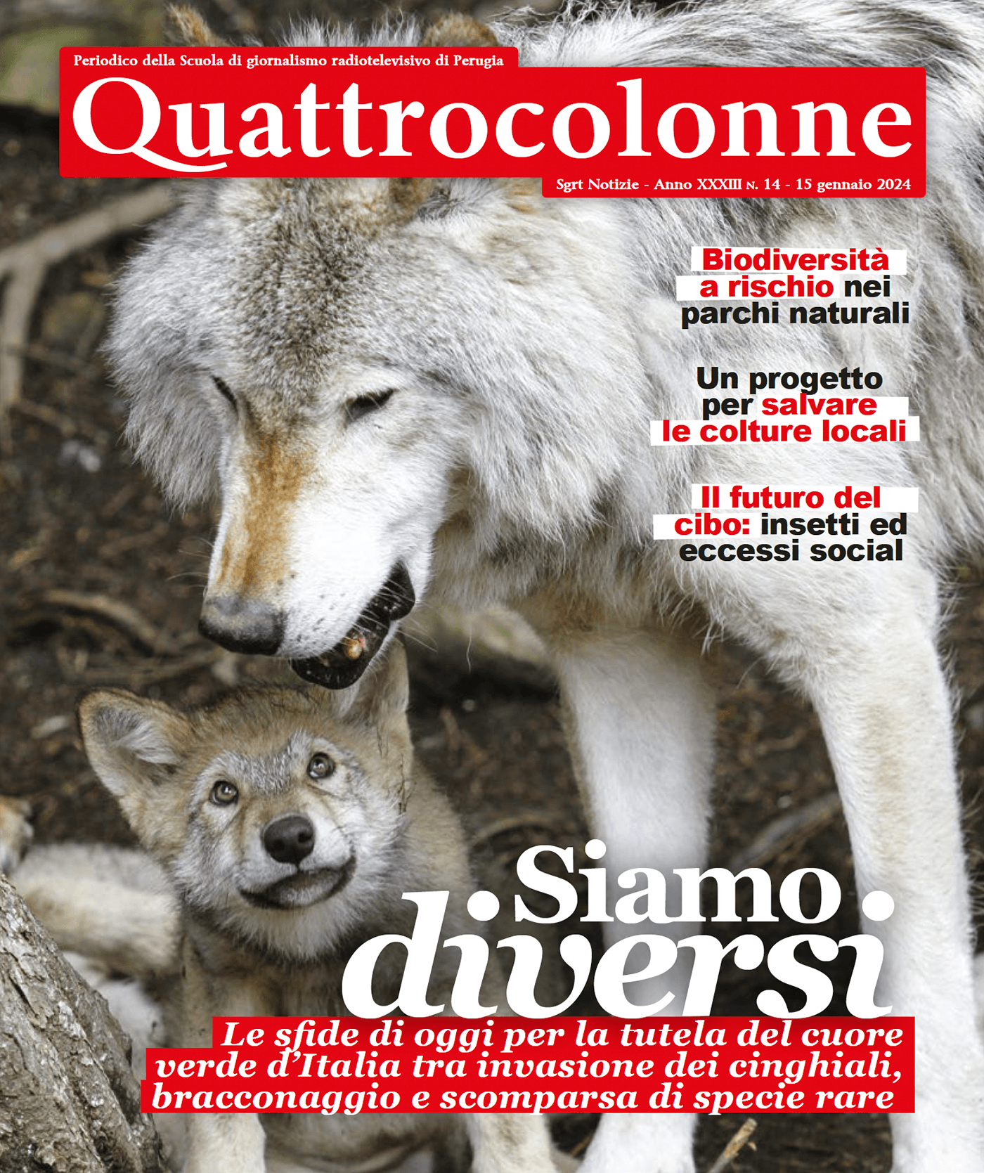 magazine Quattro Colonne lavoro editorial design  Francesco Mazzenga SGRT Notizie visual journalism