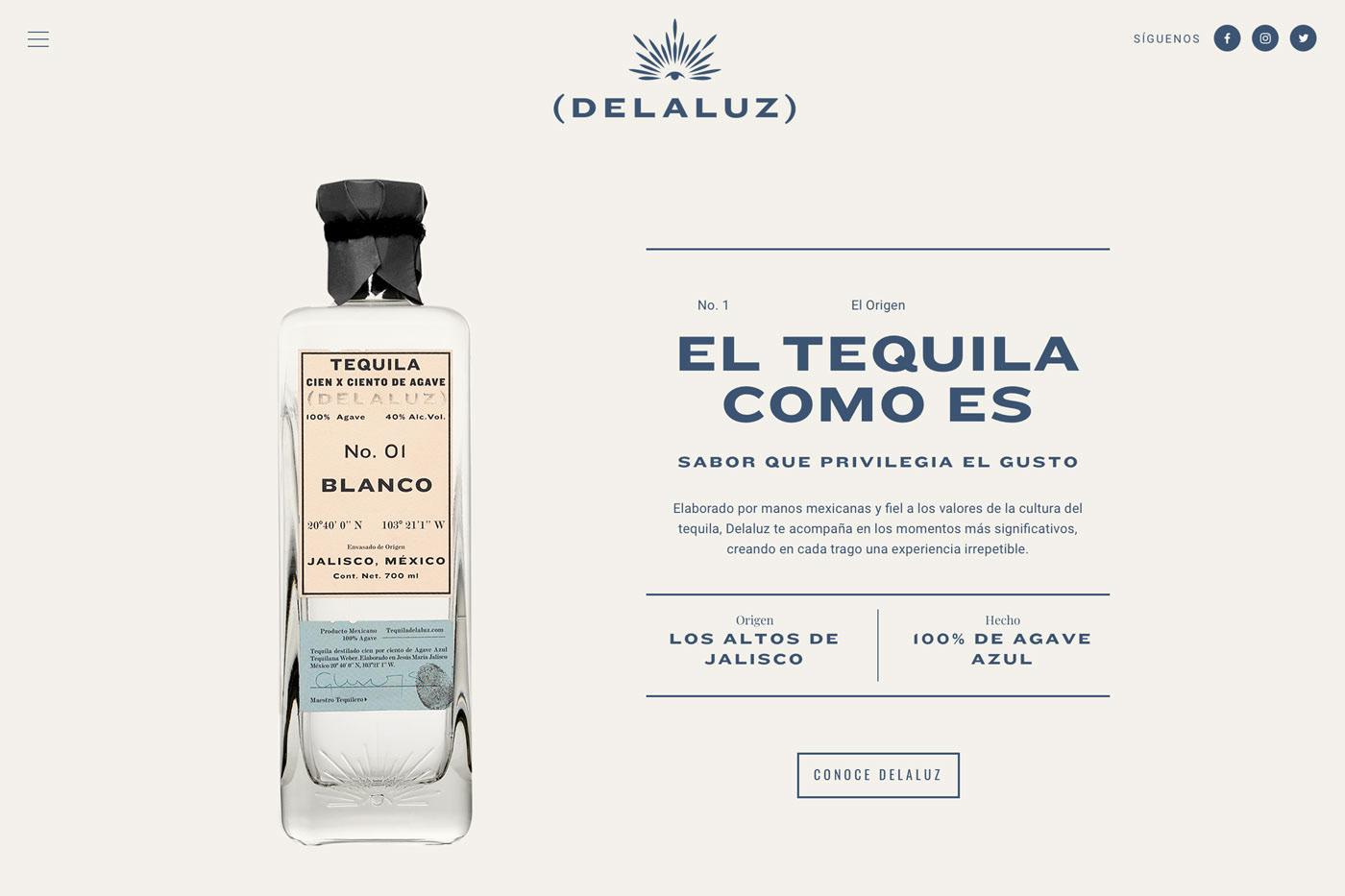 anagramastudio Tequila Delaluz jalisco mexico Webdesign UI/UX front-end back-end Webdevelopment
