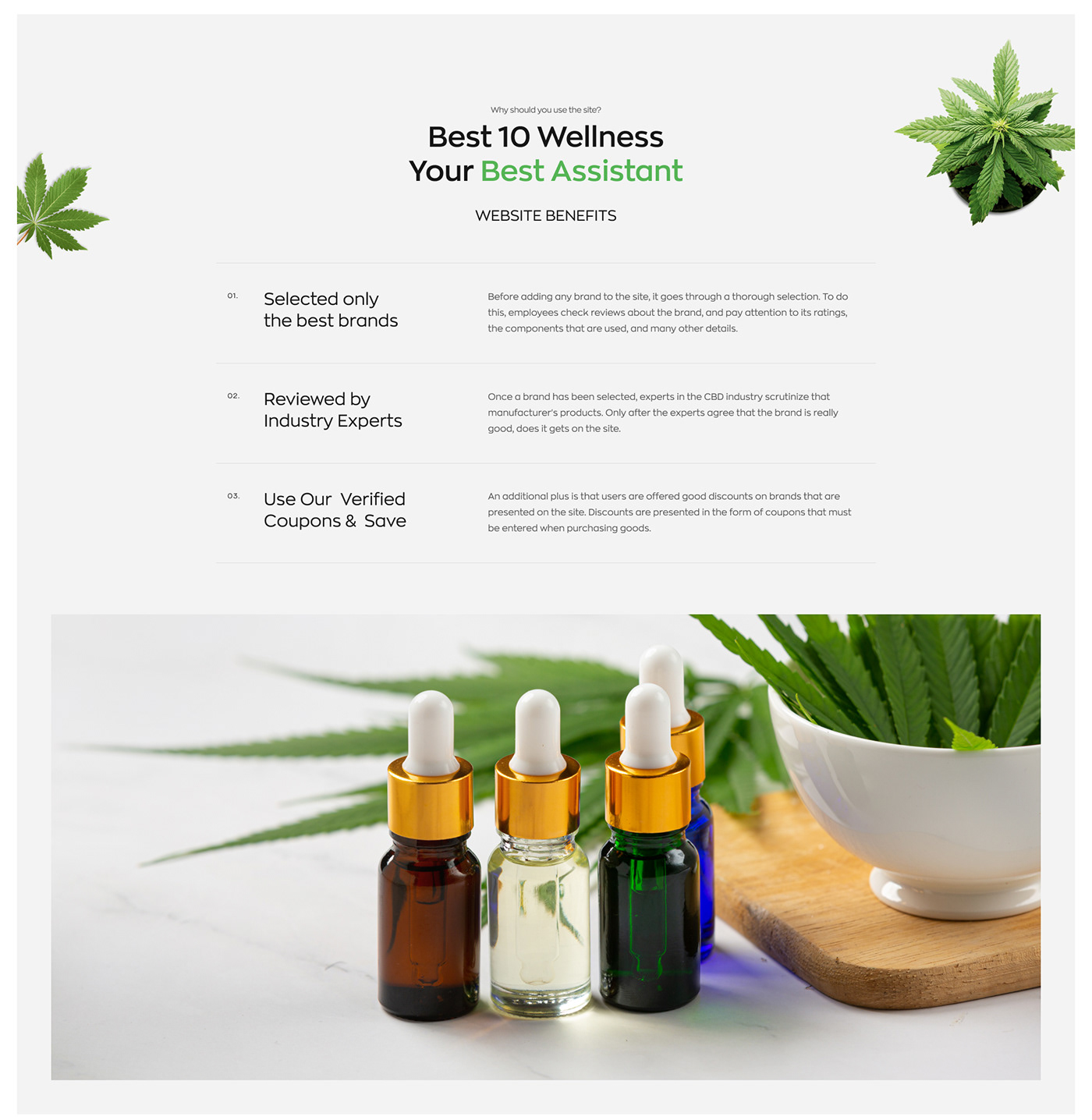 brands cannabis CBD hemp landing site top10 UI/UX Web Design  Website