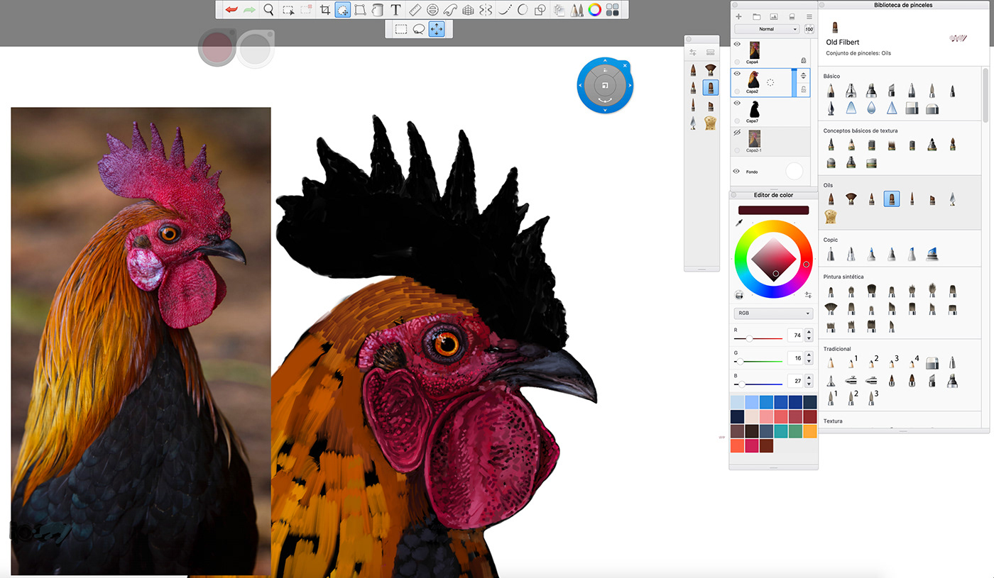 animal artwork Character digital painting digitalwork  farm Golden Rooster ILLUSTRATION  Rooster sketchbook