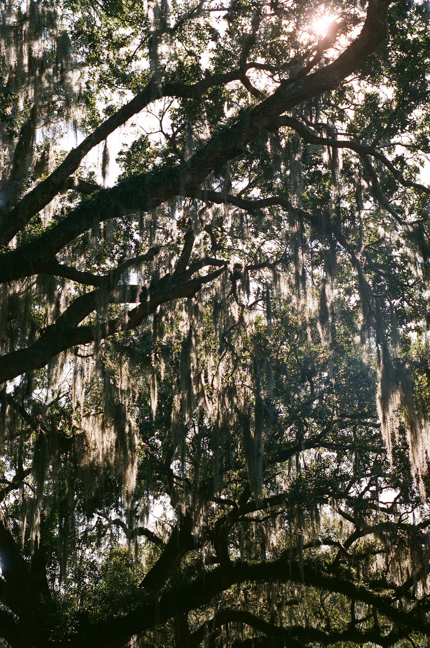 new orleans film photography 35mm color