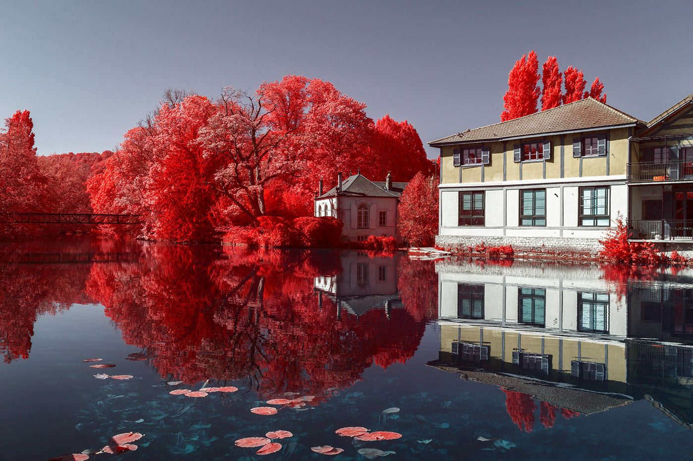 infrared Nature environment Photography  Landscape plants trees Aerochrome Coexistence infrared photography