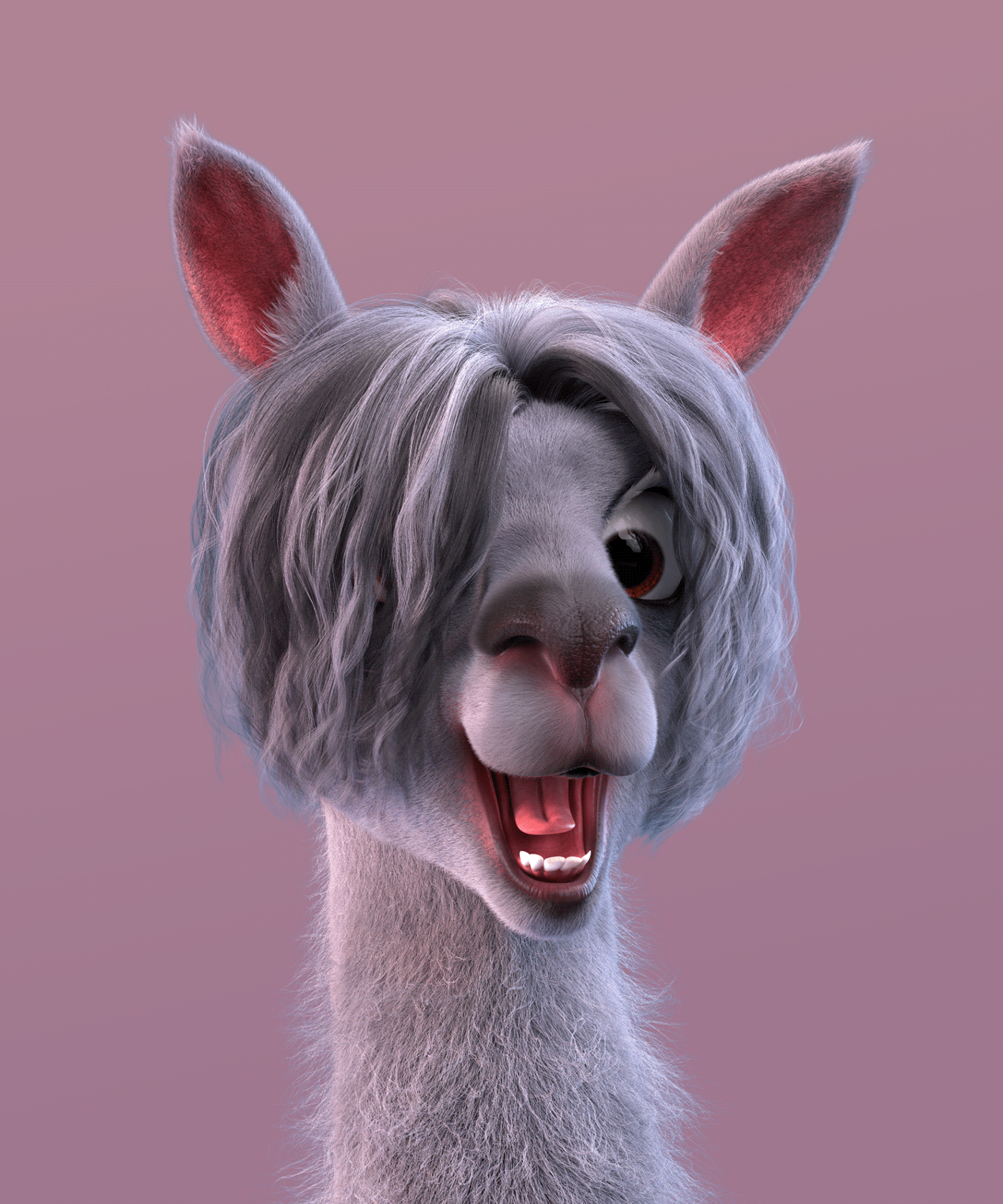 animal cartoon Character design  Digital Art  funny Fur groom LAMA nose