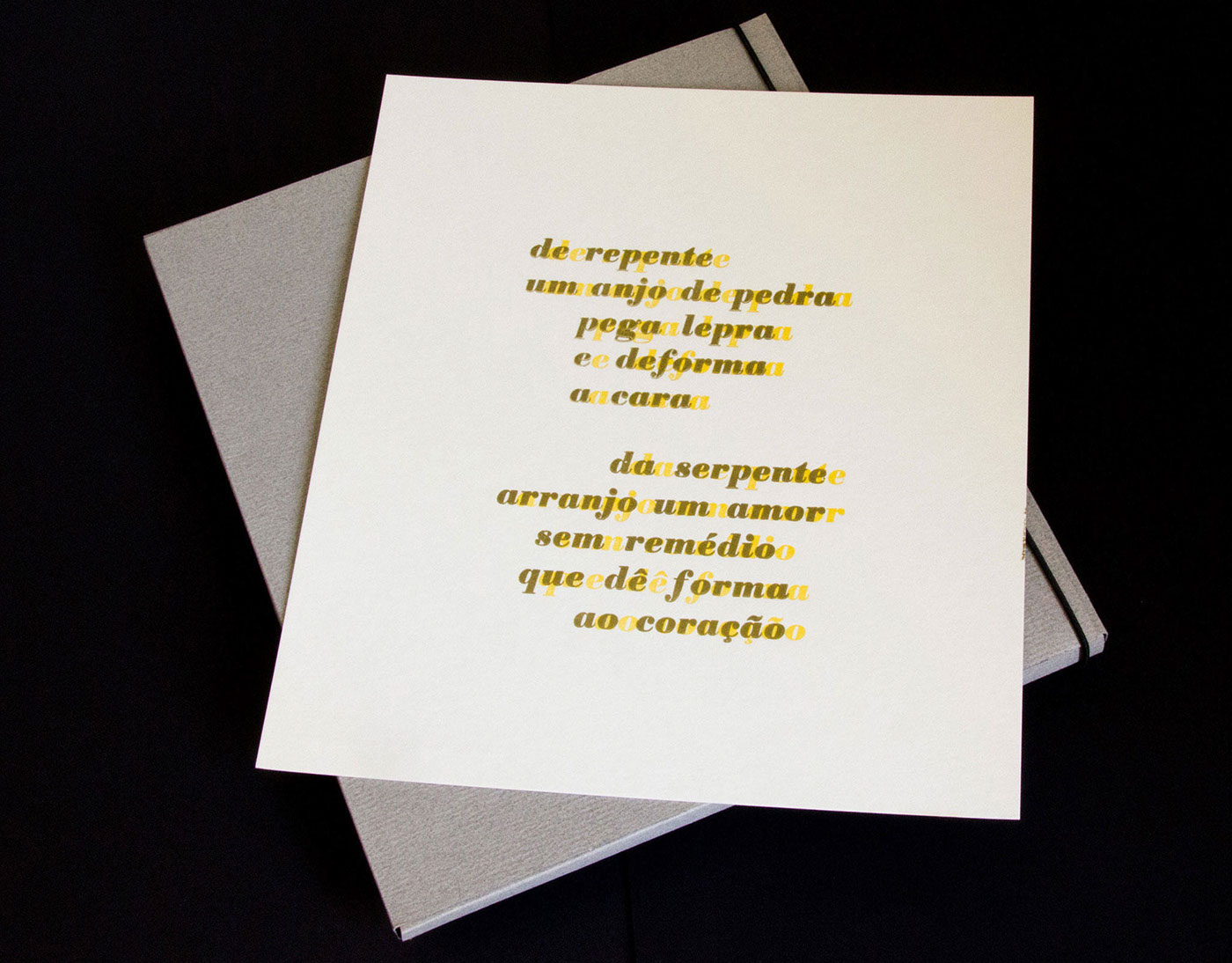 letterpress typography   graphic design  tipografia design gráfico book design editorial design 