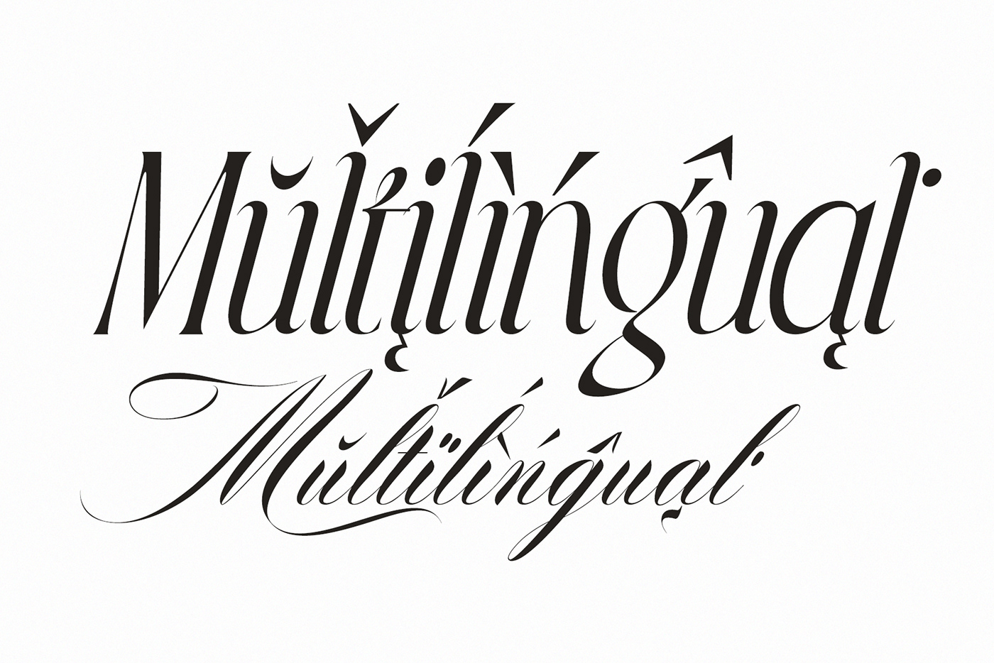 branding  Calligraphy   Classic font Logotipo Logotype sans serif Typeface typography   Unique