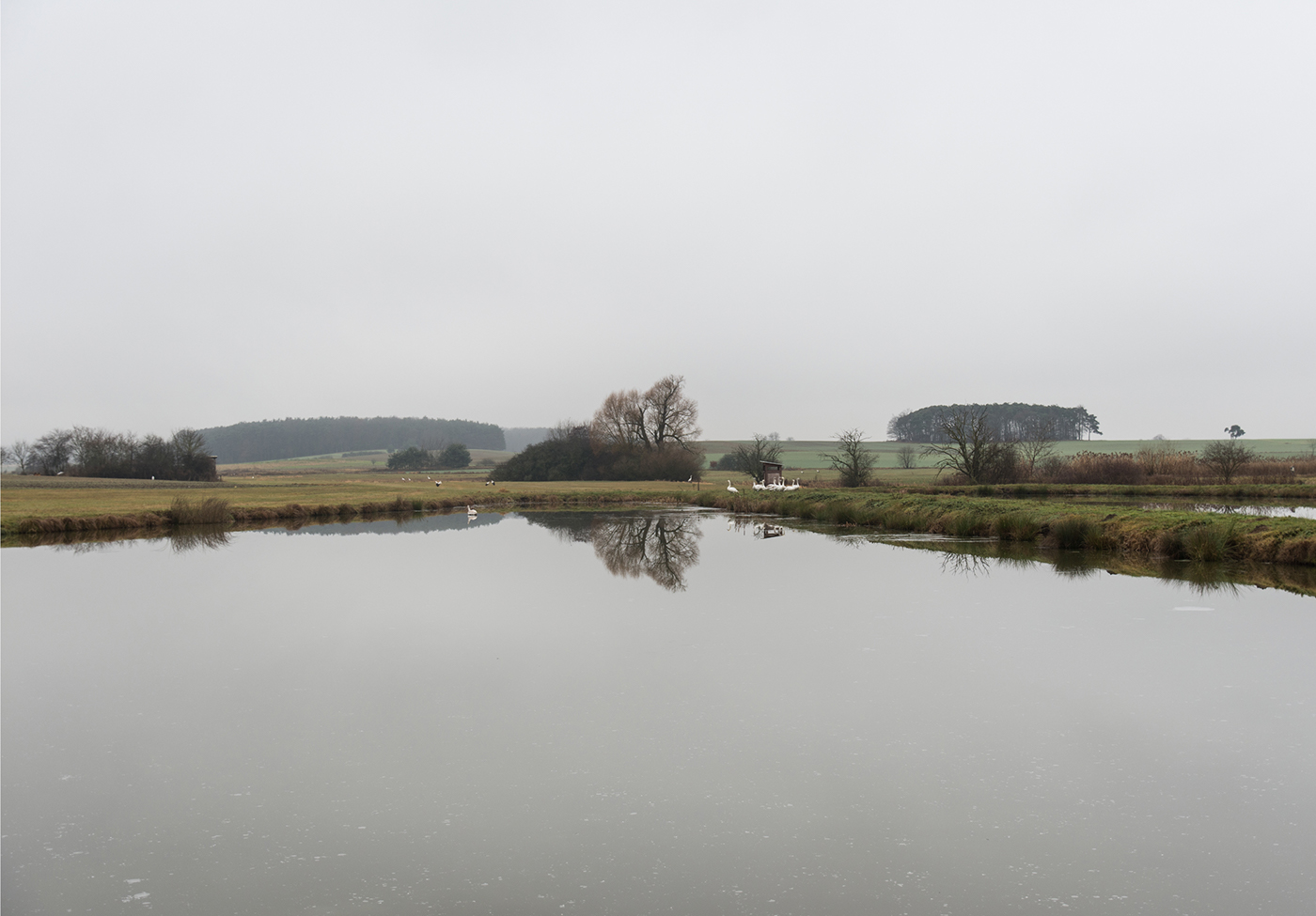 Landscape germany carp aischgrund Bavaria eightvisions fog ponds landscape photography foggy