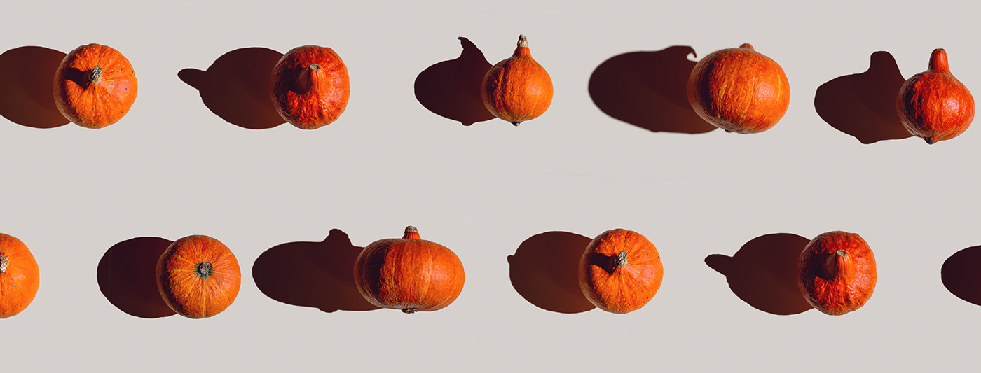 Pattern of many different pumpkins with a hard shadow on a gray background. Halloween concept.