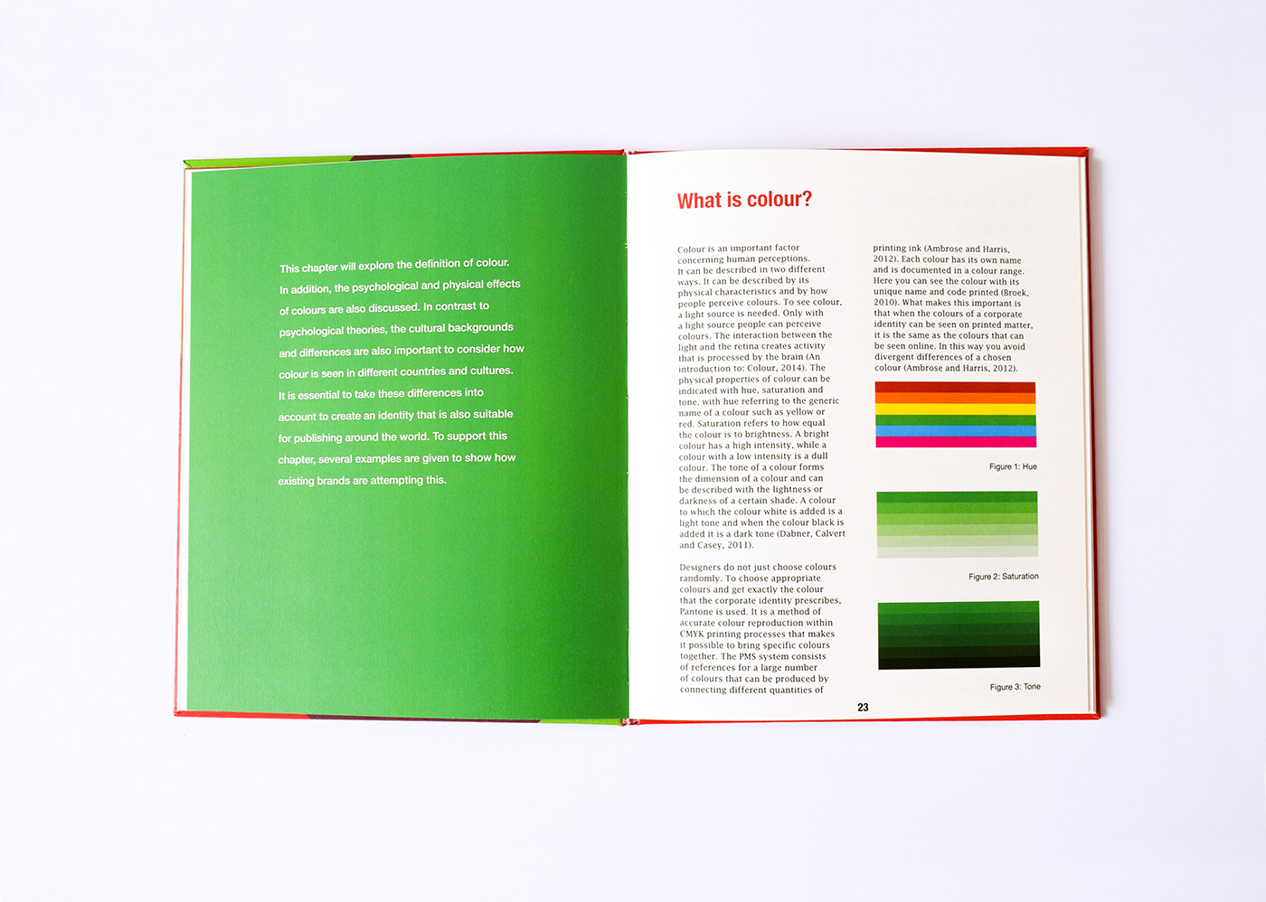 Dissertation thesis Scriptie graphic grafisch ontwerp design book bachelor University