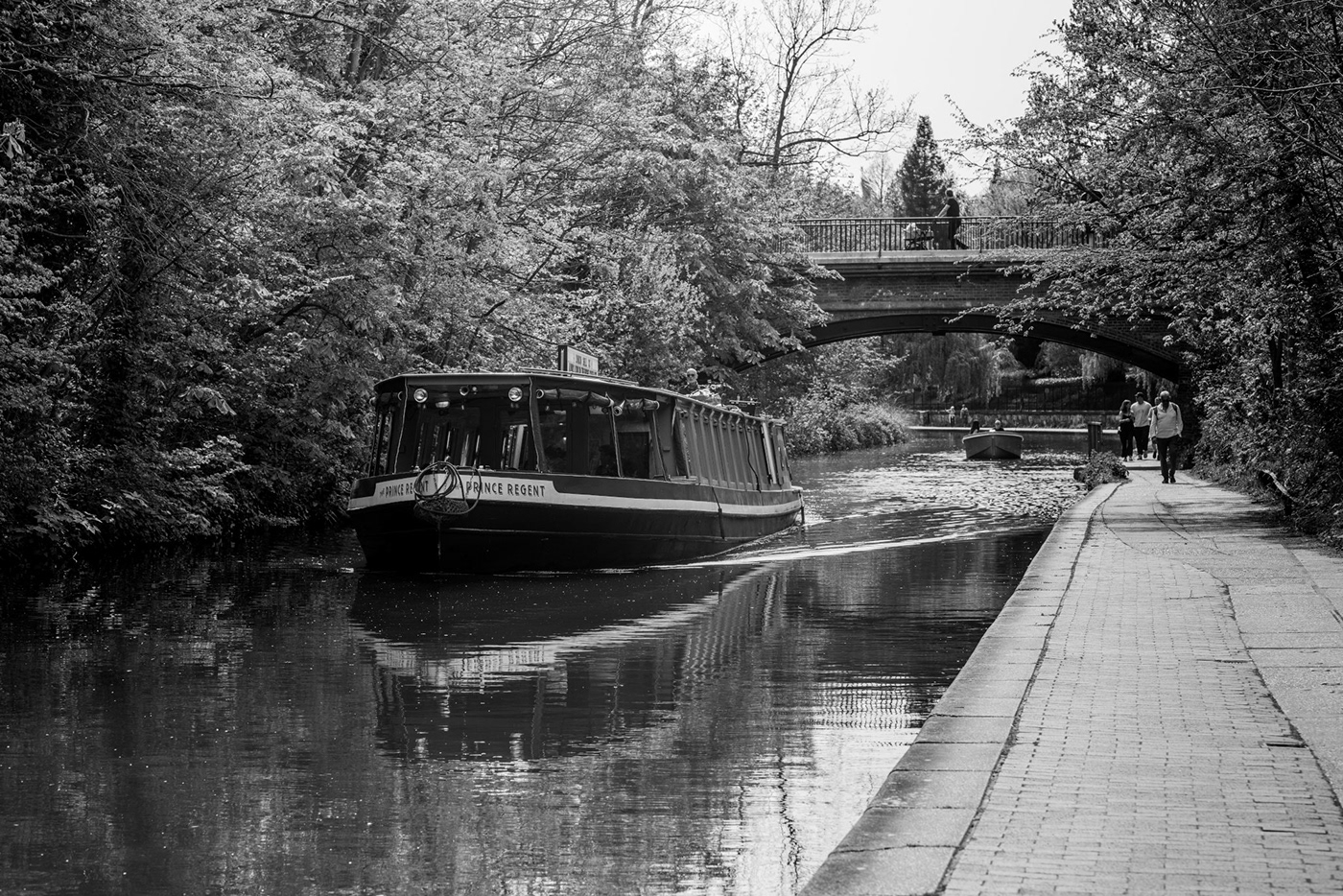 Camden London lifestyle London Nature photographer Photography  portrait regent's canal Shane Aurousseau Waterways