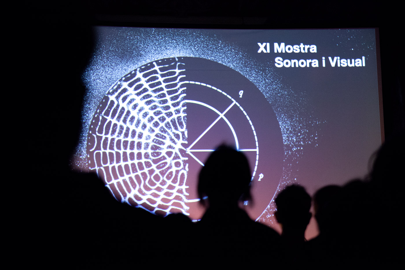cymatics Ernst Chladni sound art festival art direction  graphic design  motion graphics  ILLUSTRATION  barcelona