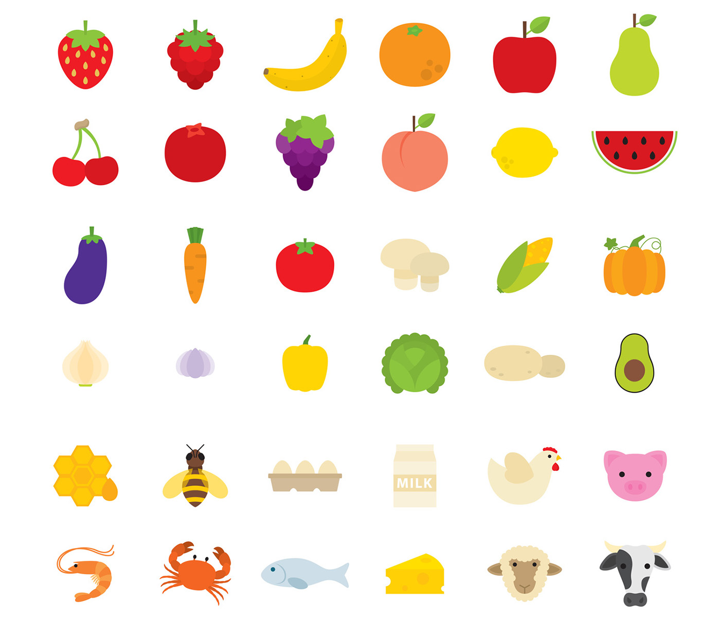 flat icons ILLUSTRATION  design Food  science