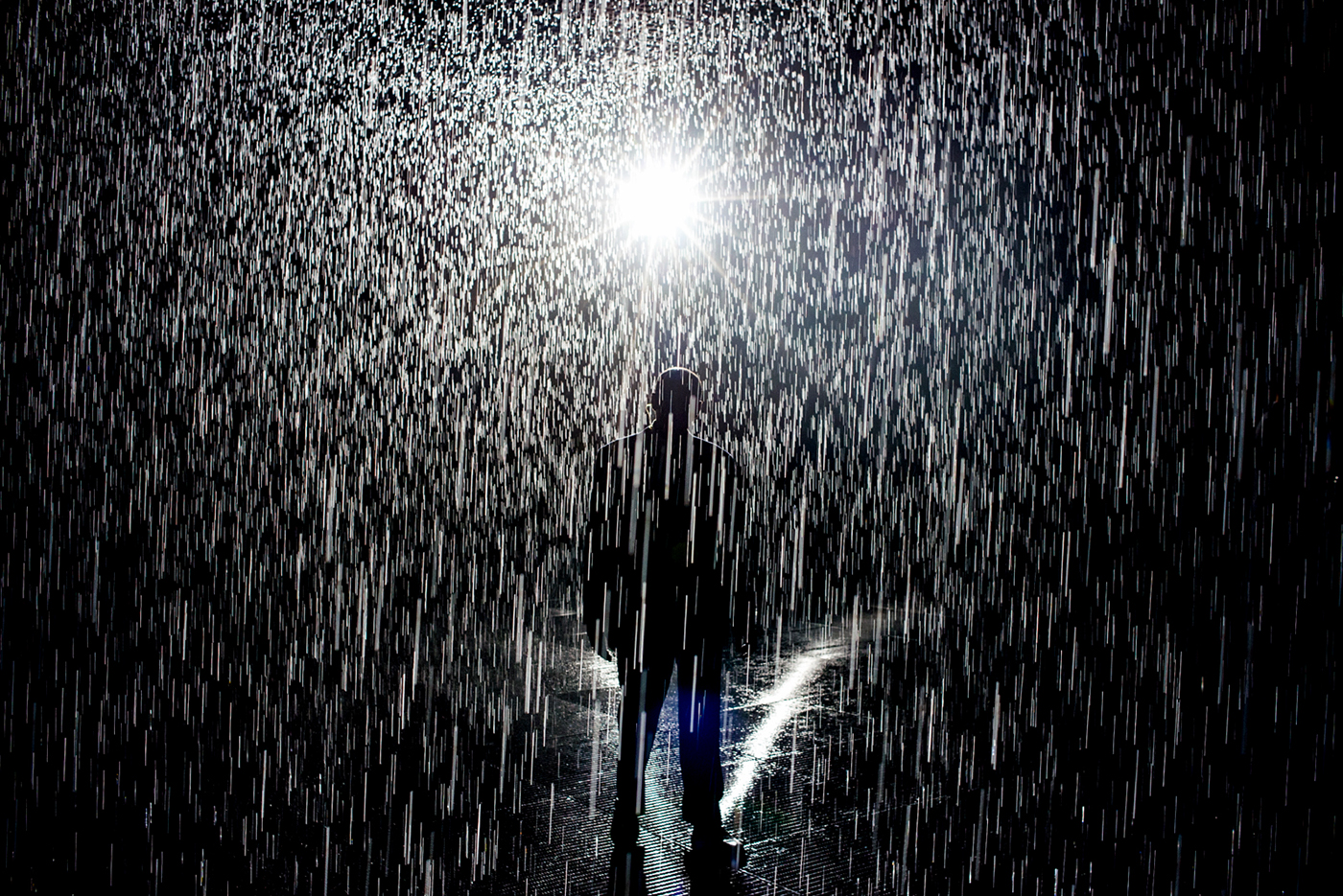 Rain room rain Exhibition  lacma art water abstract surreal motion Los Angeles California