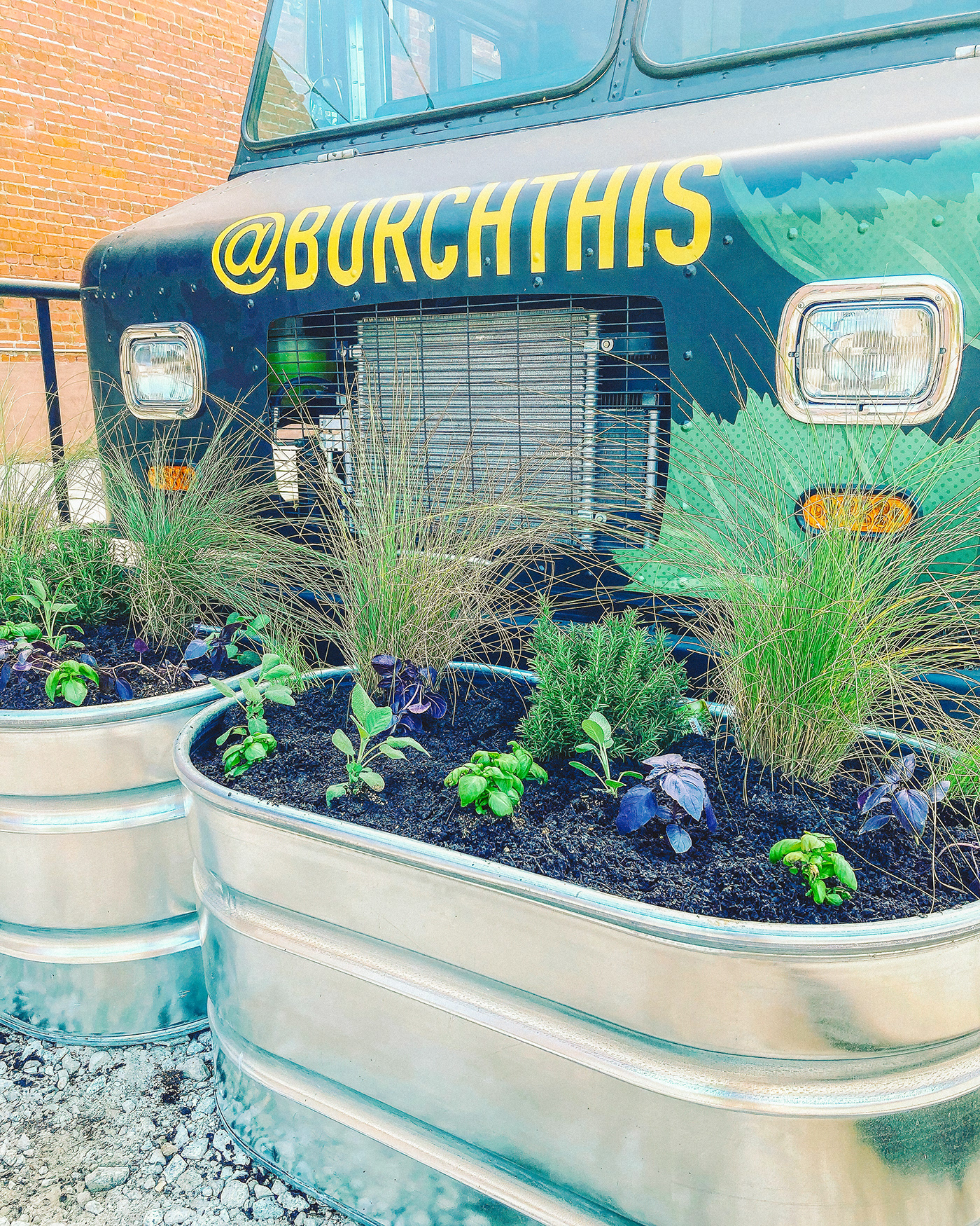 botanical burch Food  ILLUSTRATION  leaves restaurant Tree  Truck Vehicle Wrap