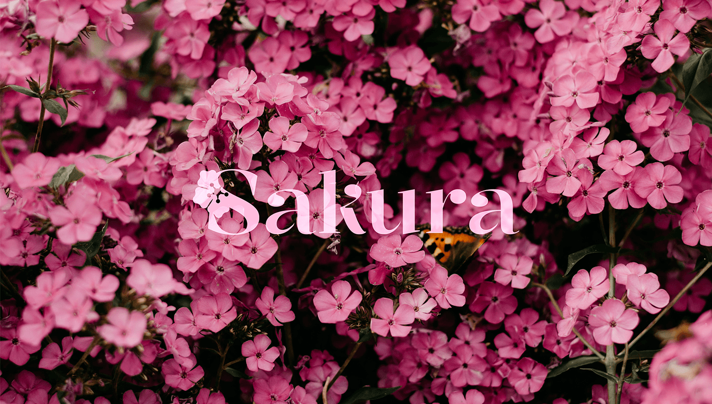 rebranding brand identity Vivero uruguay Colonia pink sakura plants gardening Flowers