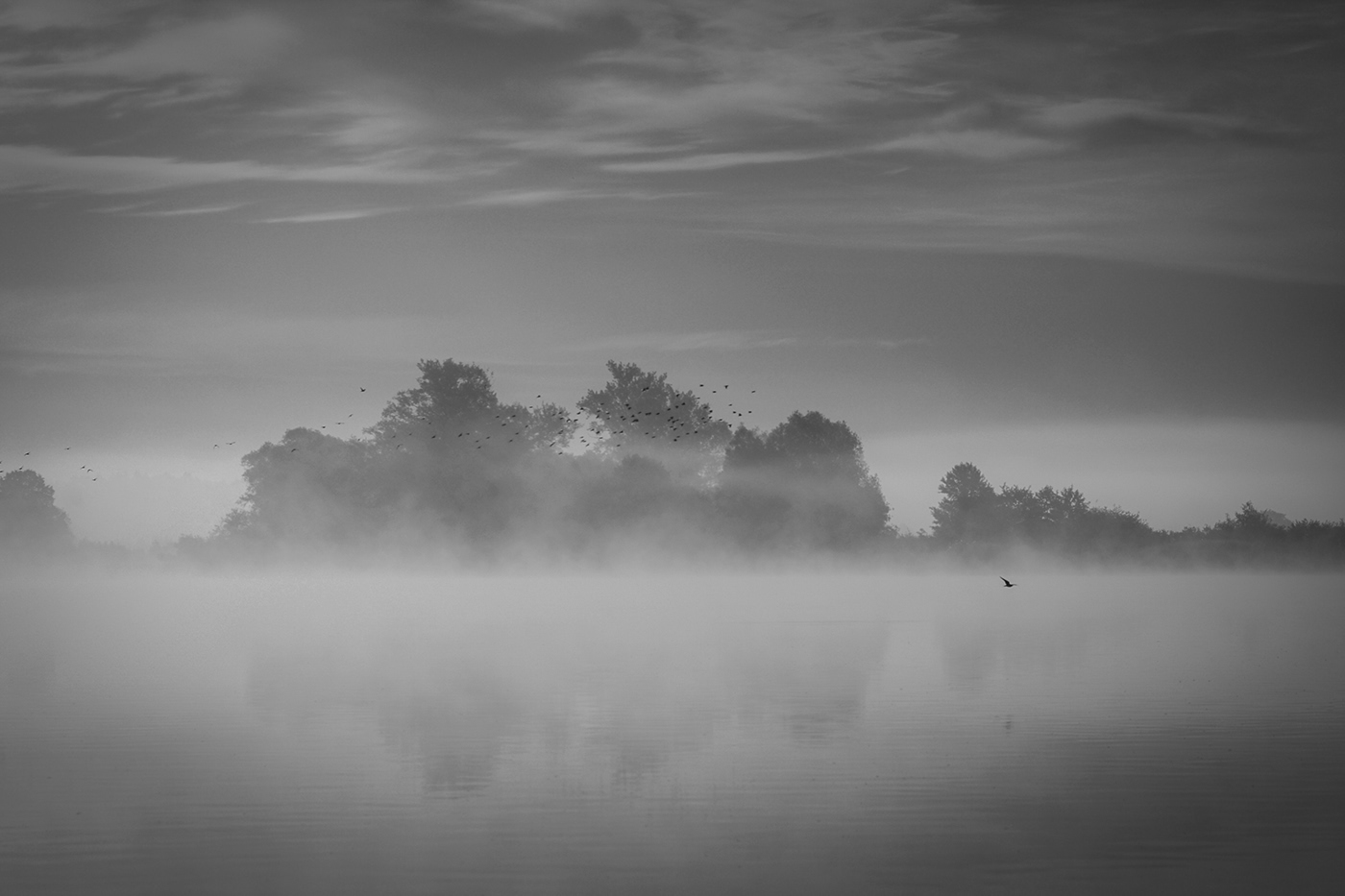 fog lietuva lithuania Memelland Mindaugas Buivydas minimal Minimalism mist river