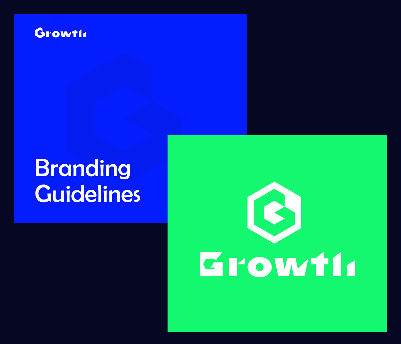 logo Logo Design brand identity brand identity design branding  brand guidelines logo designer brand manual