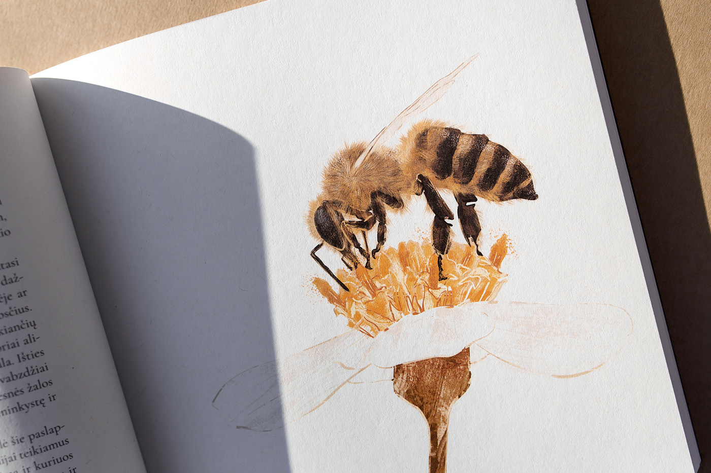 bee illustrations book design book illlustration Book Layout