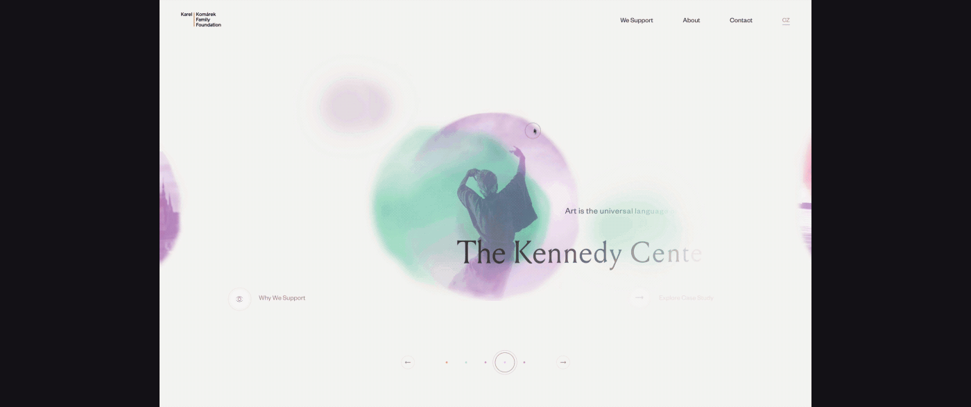 Web Website interactive motion animation  Experience ux UI
