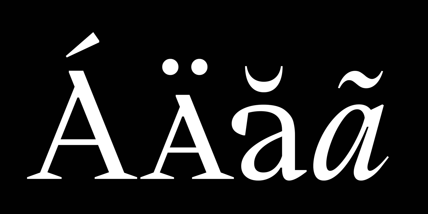 book contemporary editorial font Typeface Display serif specimen type design typography  