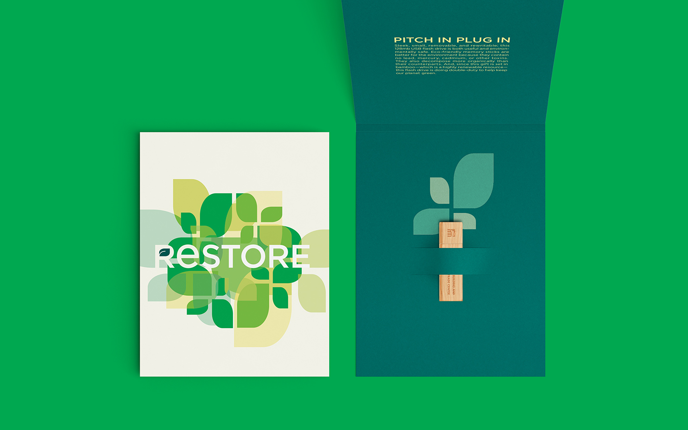 green vector art direction  branding  graphic design  ILLUSTRATION  marketing   Packaging print Promotion