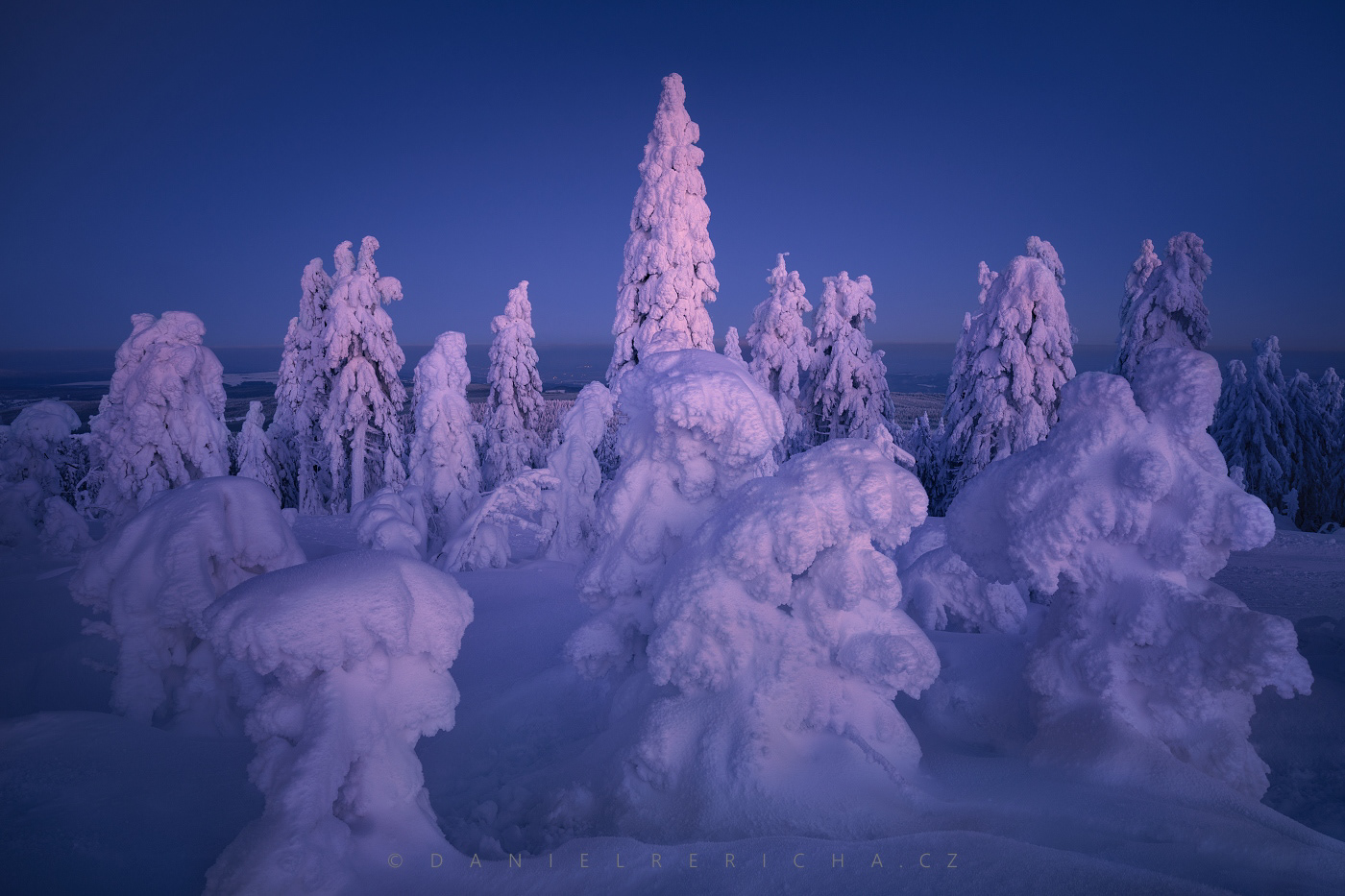 Winter landscape of the Ore Mountains at blue hour  - Czech Rrepublic